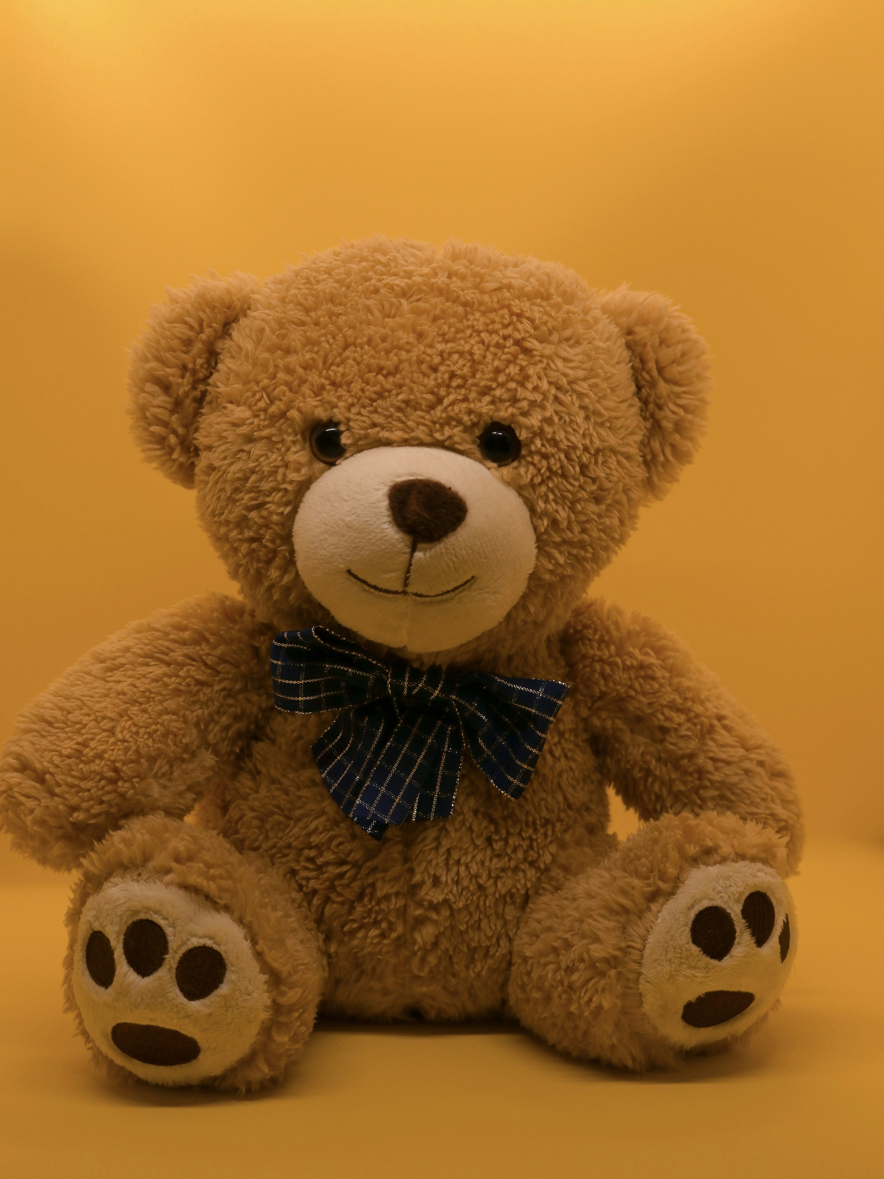 3000x4000 Cute Teddy Picture. Download Free Image