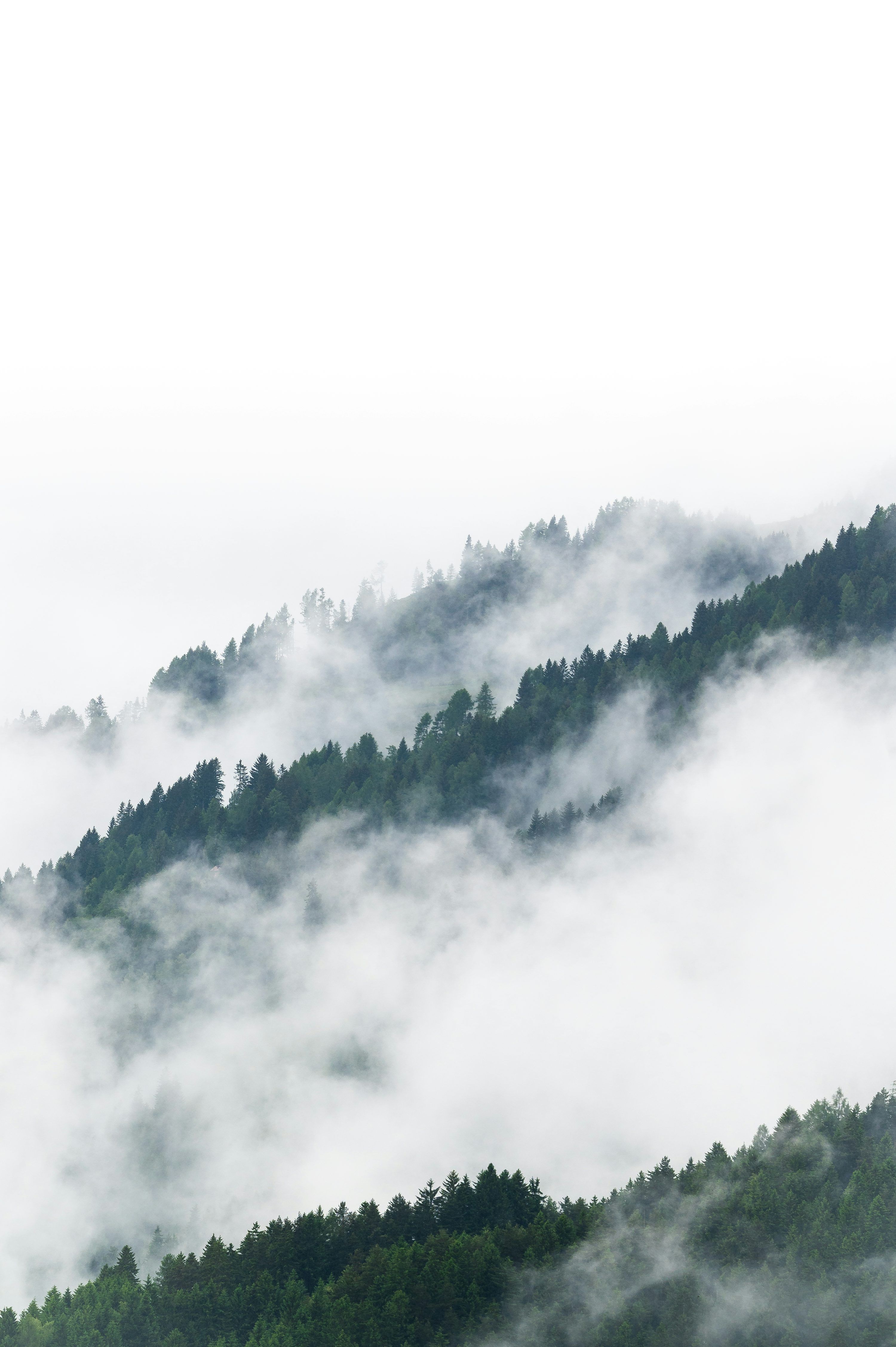 3000x4509 Depth Effect Picture. Download Free Image