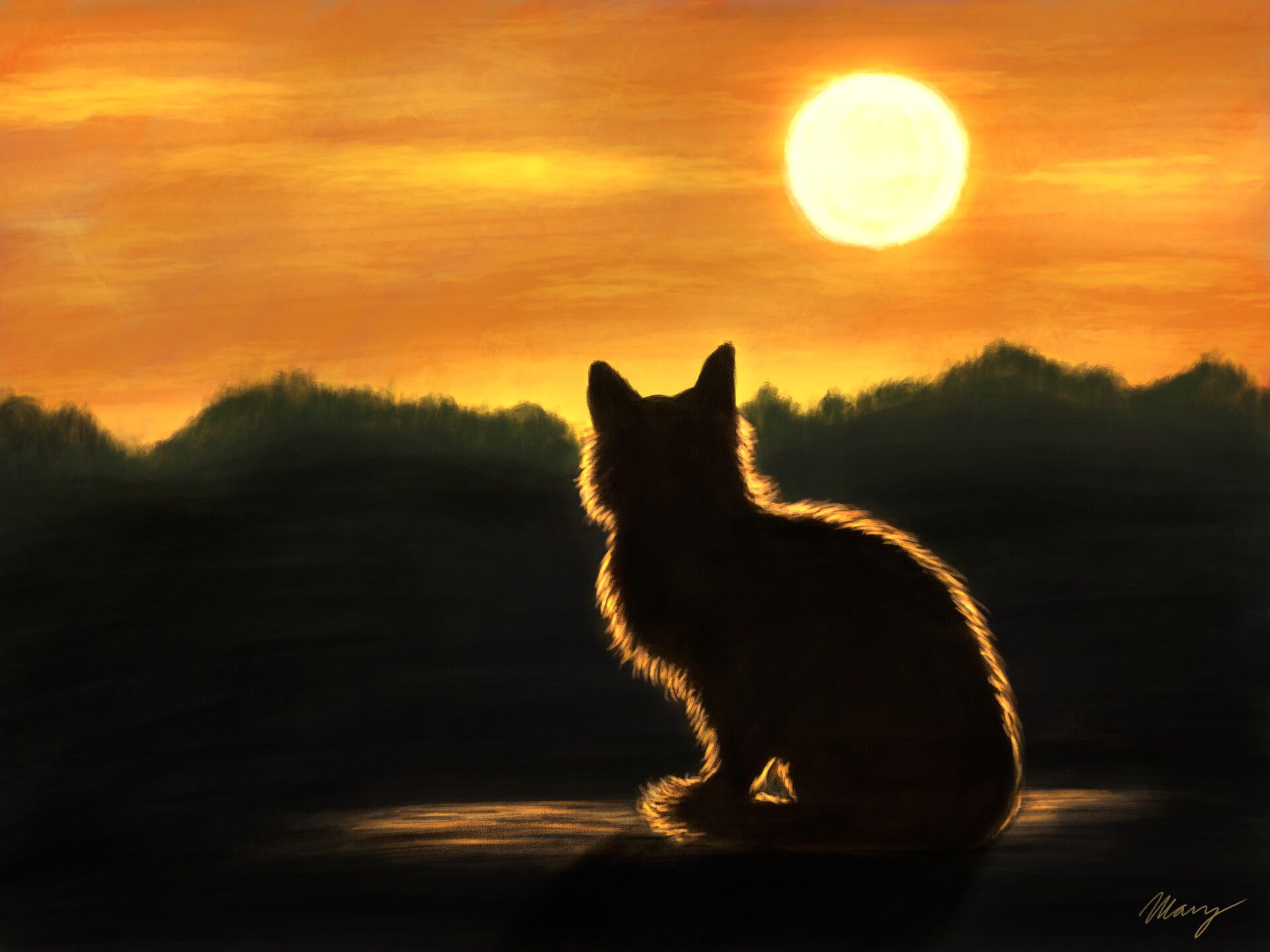 1920x1440 Cat & Sunset