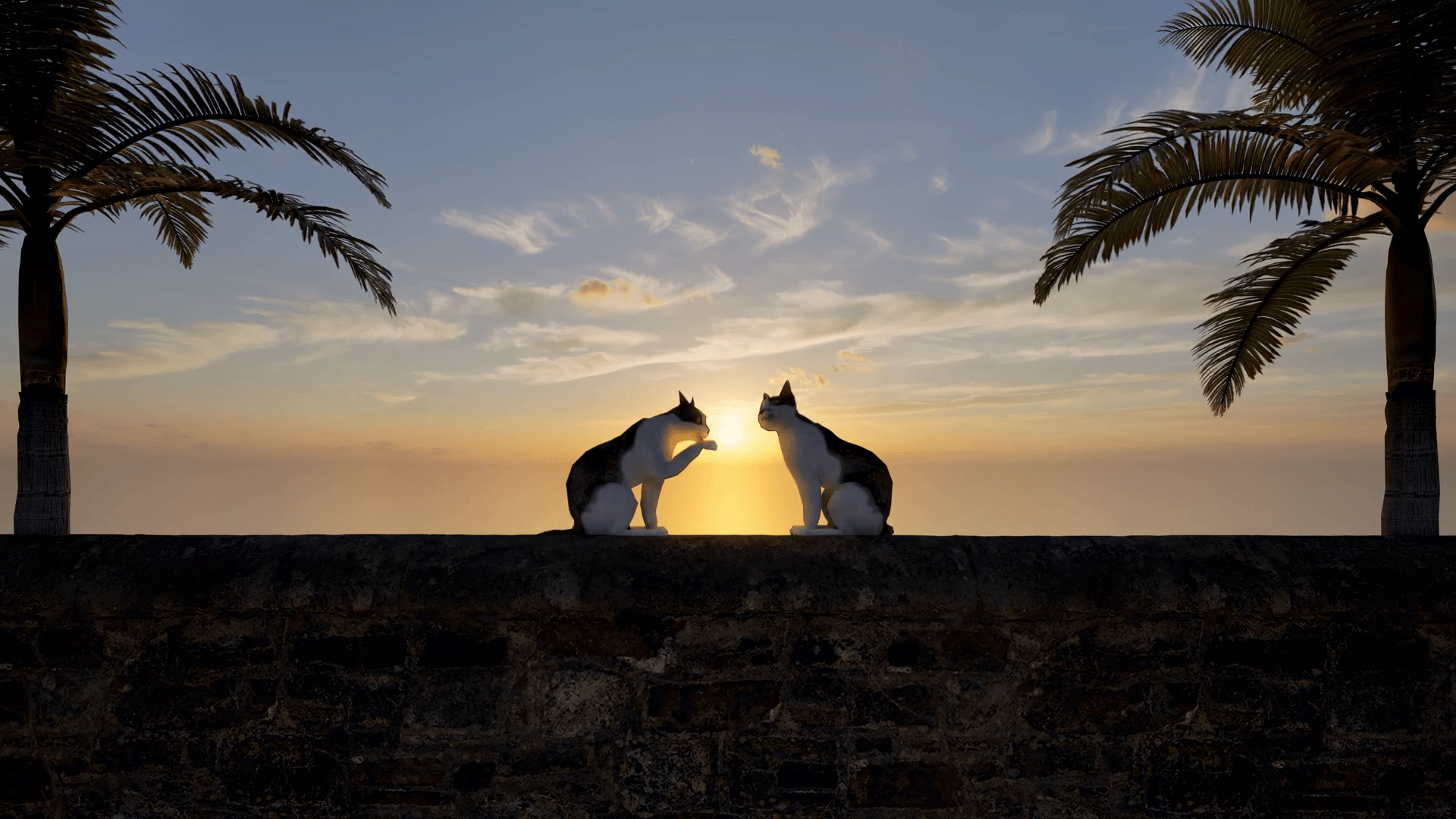 1920x1080 Two domestic cats sitting on a wall grooming themselves at sunset looping