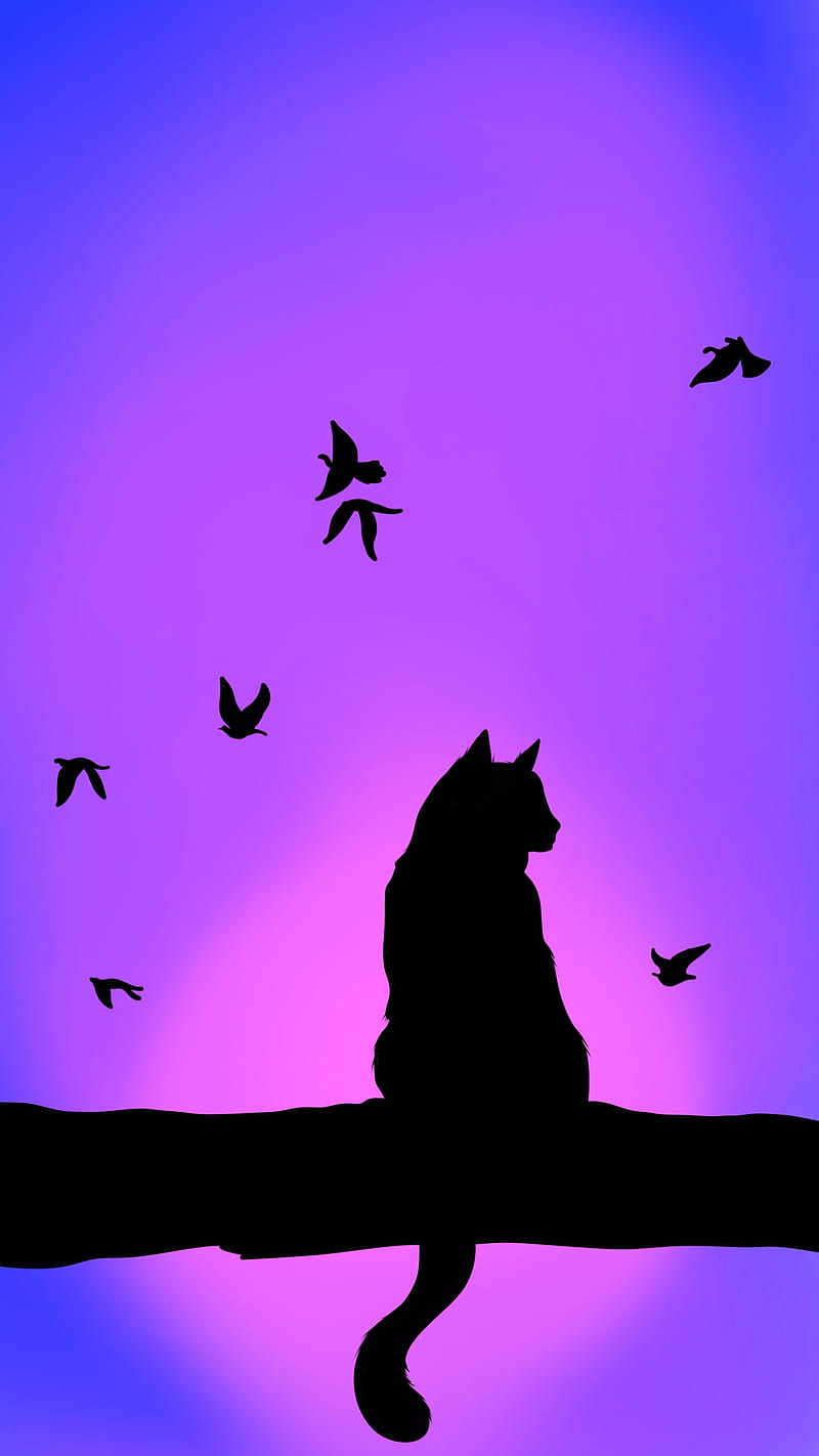800x1422 Sunset cat 2 animal, purple, sky, HD phone wallpaper