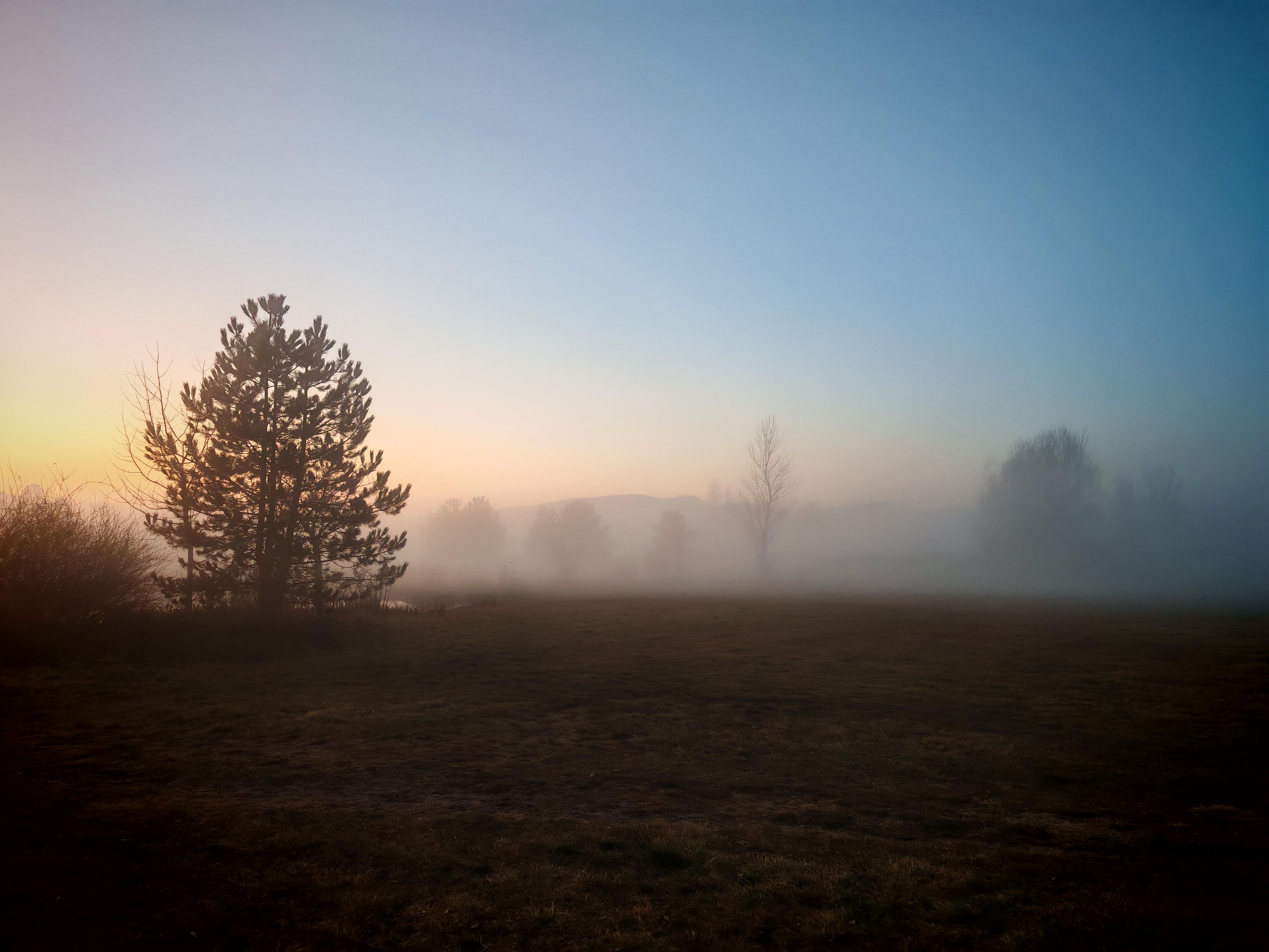 4096x3072 Foggy with Honor 200 Pro