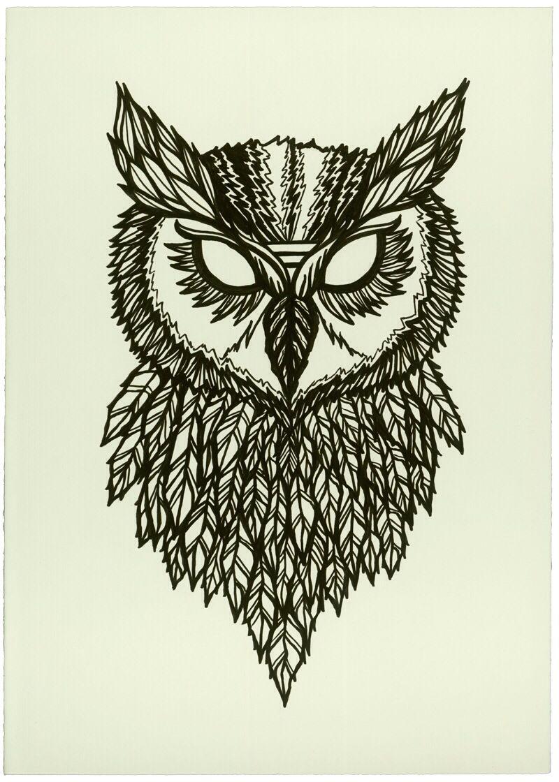 800x1120 Awesome design but want one that's less angry looking!. Owls drawing, Athena owl, Drawing wallpaper
