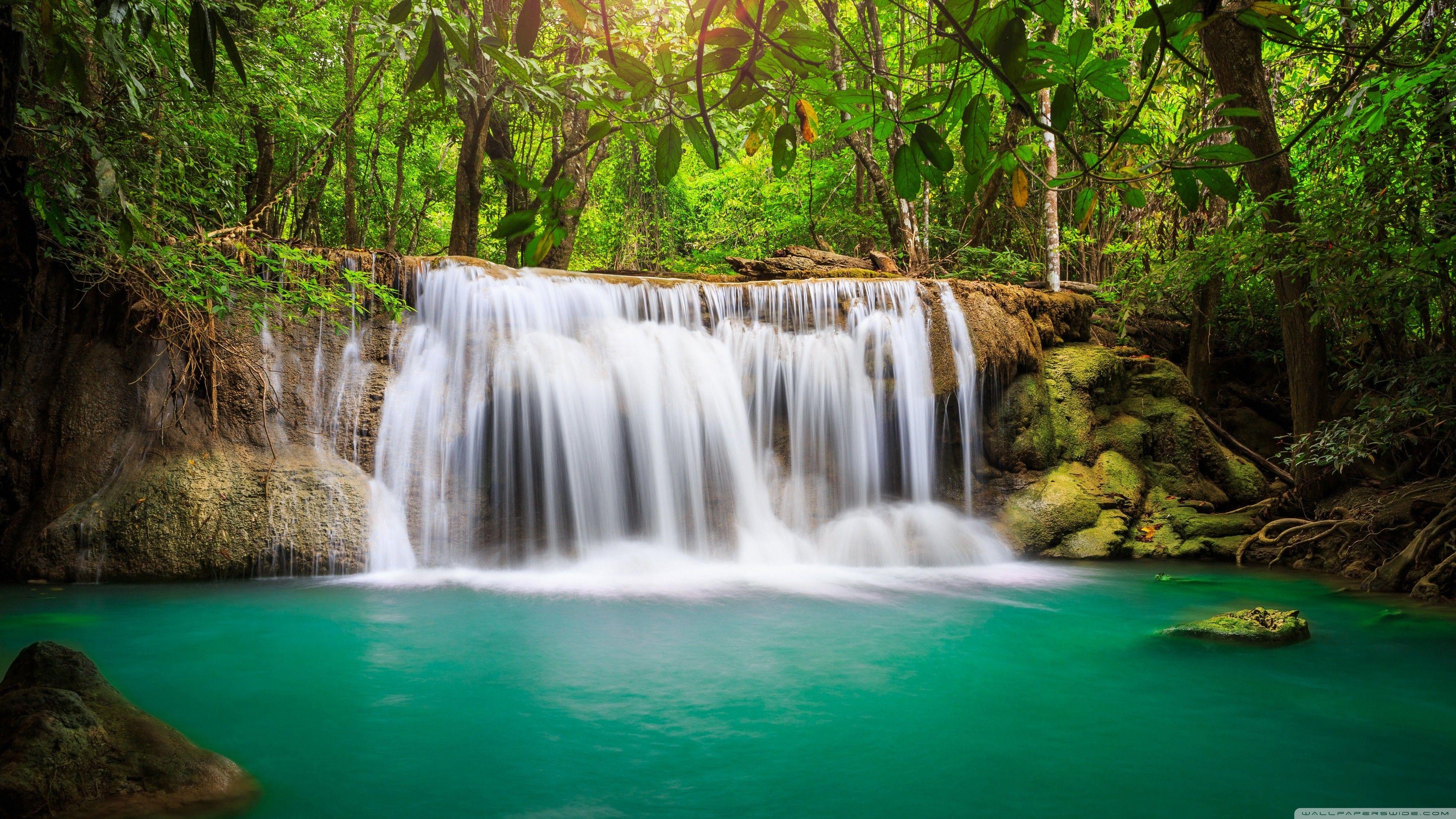 3554x1999 Tropical Rainforest Wallpaper HD 4k Waterfall