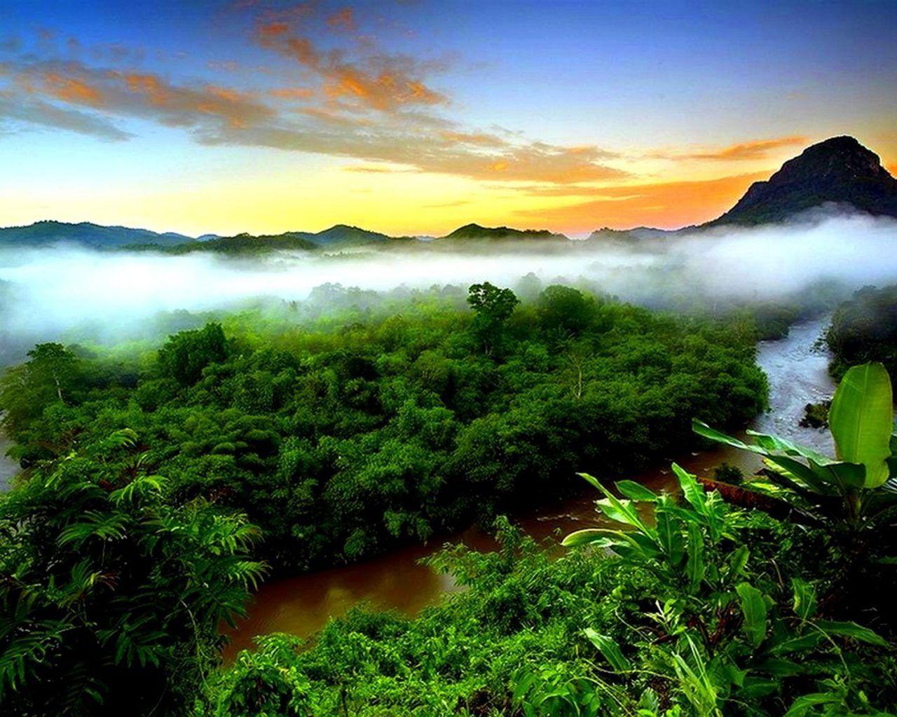 1280x1024 Tropical Rainforest Mist Evaporation Green Forest Mountain Sky Sunset Indonesia Wallpaper HD For Deskx1200 :