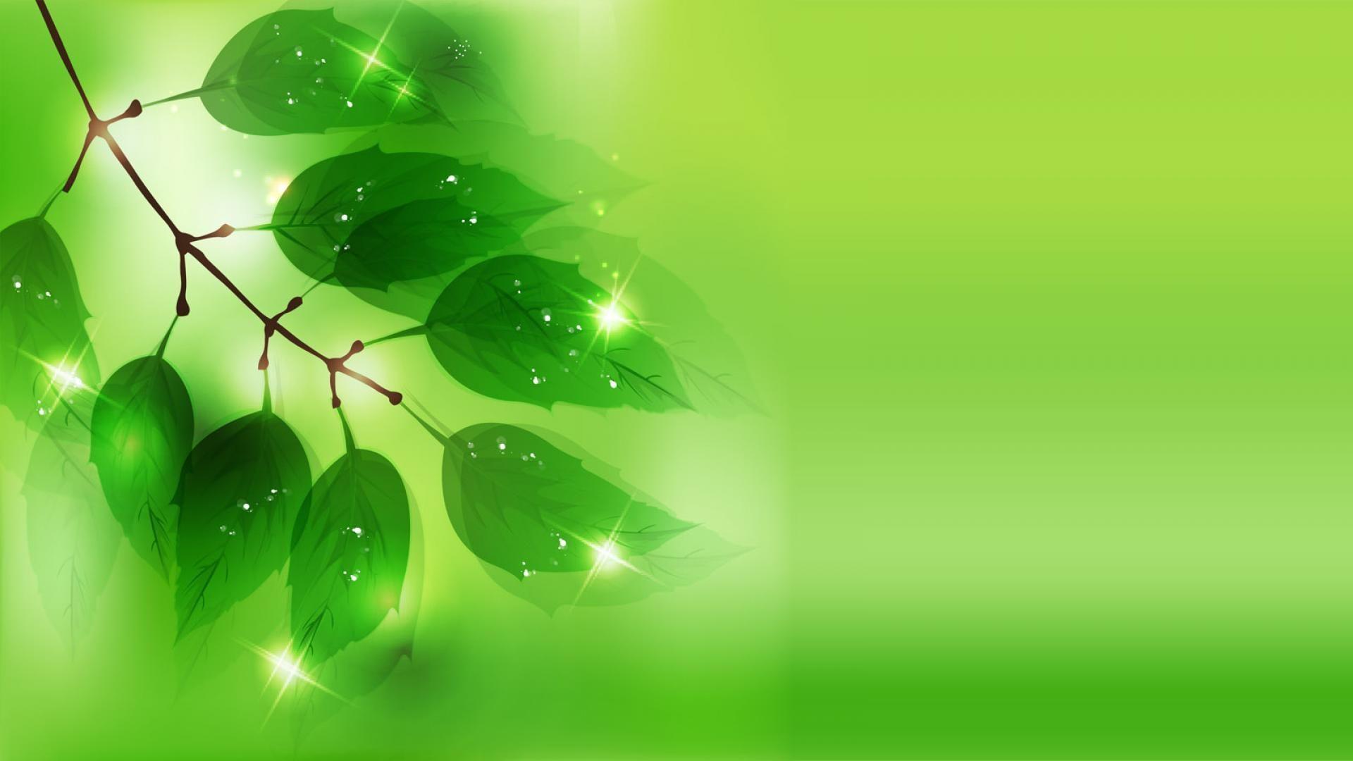 1920x1080 Green Background Vector Wallpaper Wallpaper Green For Desktop Background Abstract Islamic Light Natu. Background HD Wallpaper, Creative Graphics, Theme Background