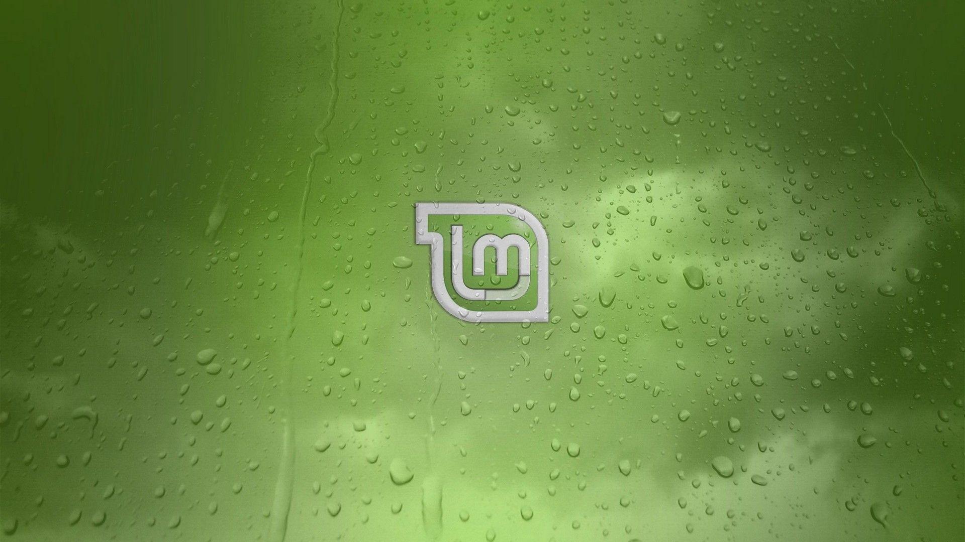 1920x1080 Dark Green Wallpaper For Desktop. Best Wallpaper HD. Mint wallpaper, Desktop wallpaper, Computer wallpaper desktop wallpaper