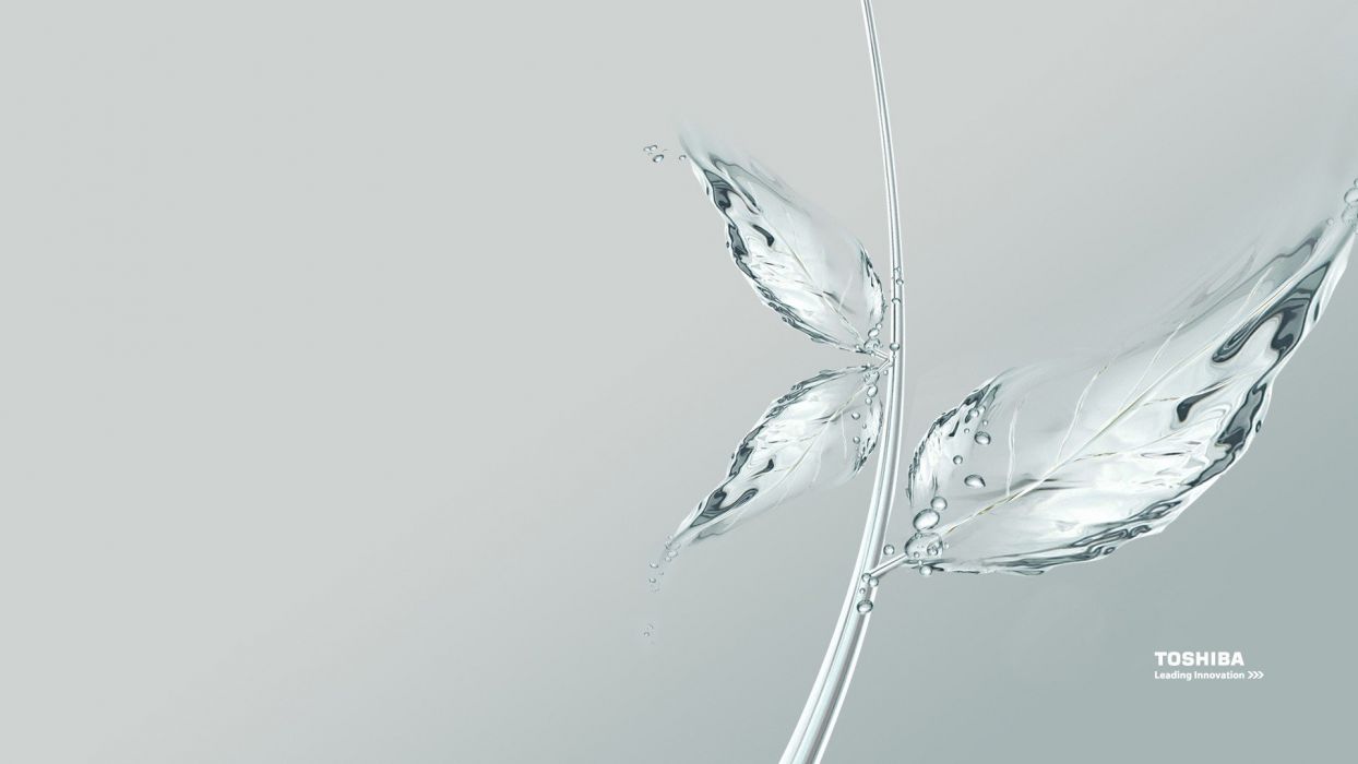 1244x700 Leaf glass glass art wallpaperx1080