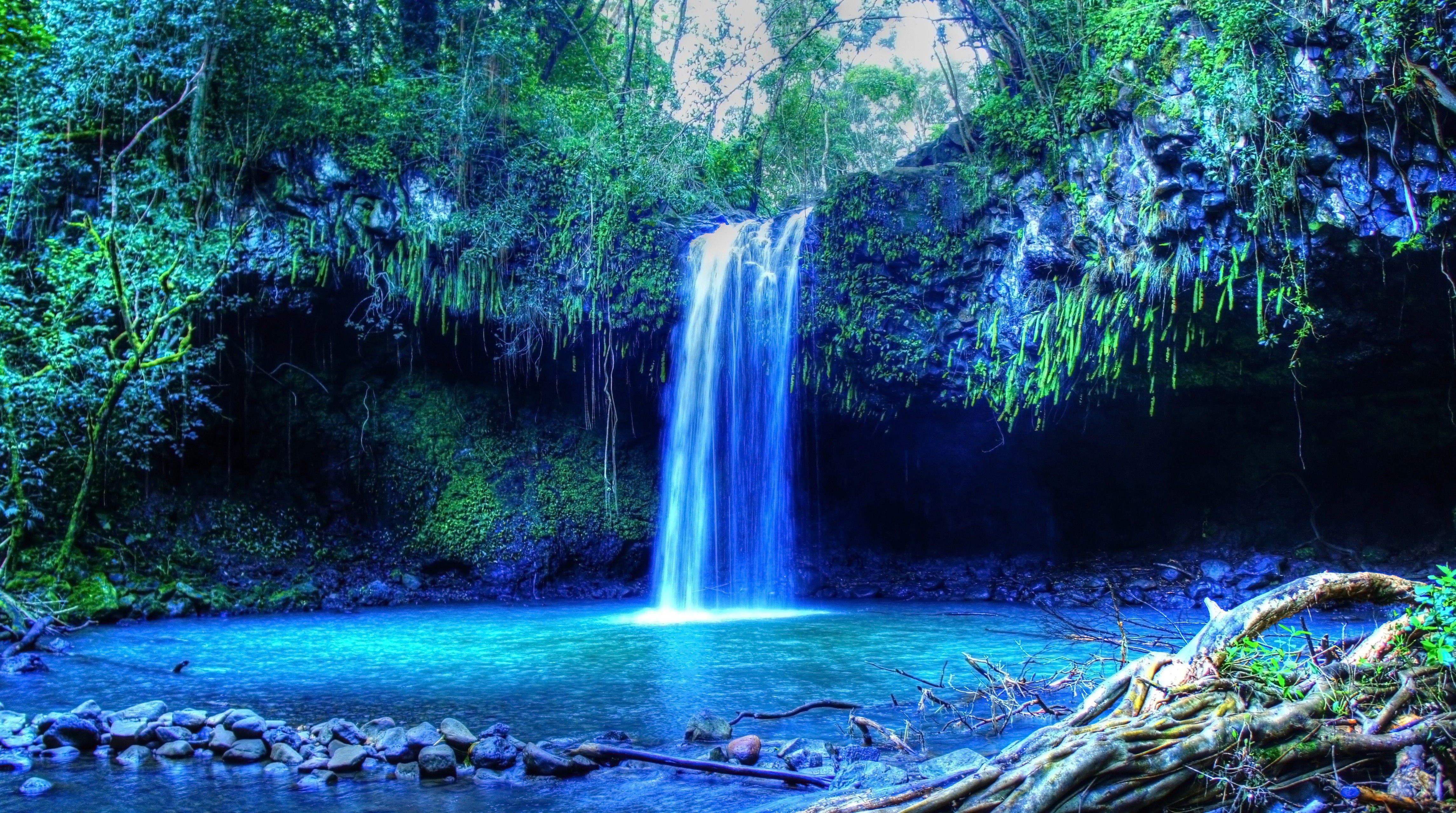 4582x2559 Tropical Water Tropical Forest Hawaii Isle Of Maui Maui Palm Trees Beach Waterfall Wallpaper:4582x2559
