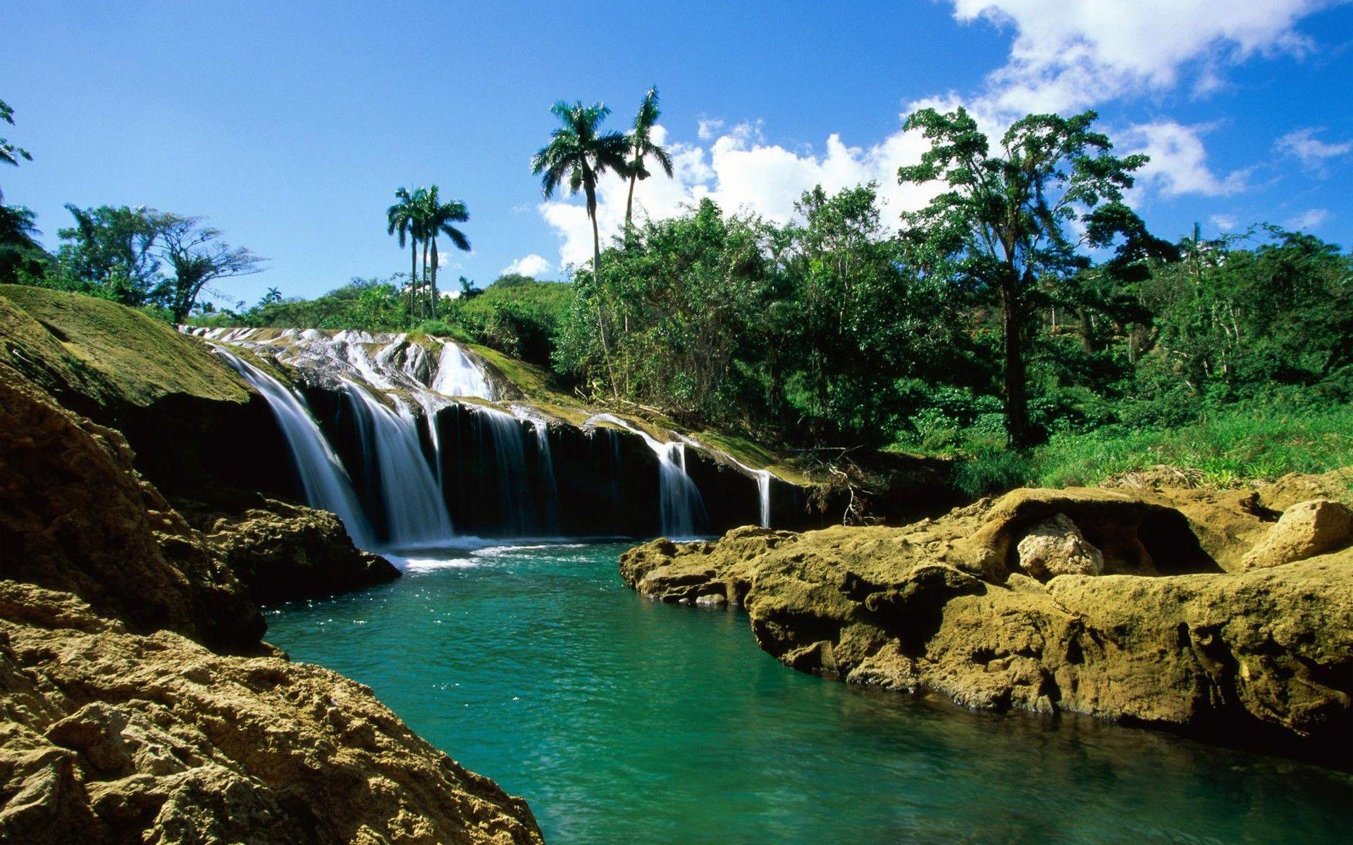 1920x1200 Wallpaper, jungle, vegetation, clear, widescreen, waterfall, background, water, inviting