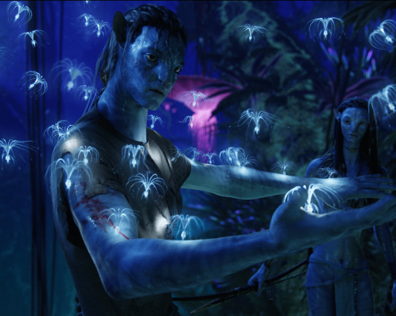 Avatar Movie Wallpapers Top Free Avatar Movie Backgrounds Wallpaperaccess