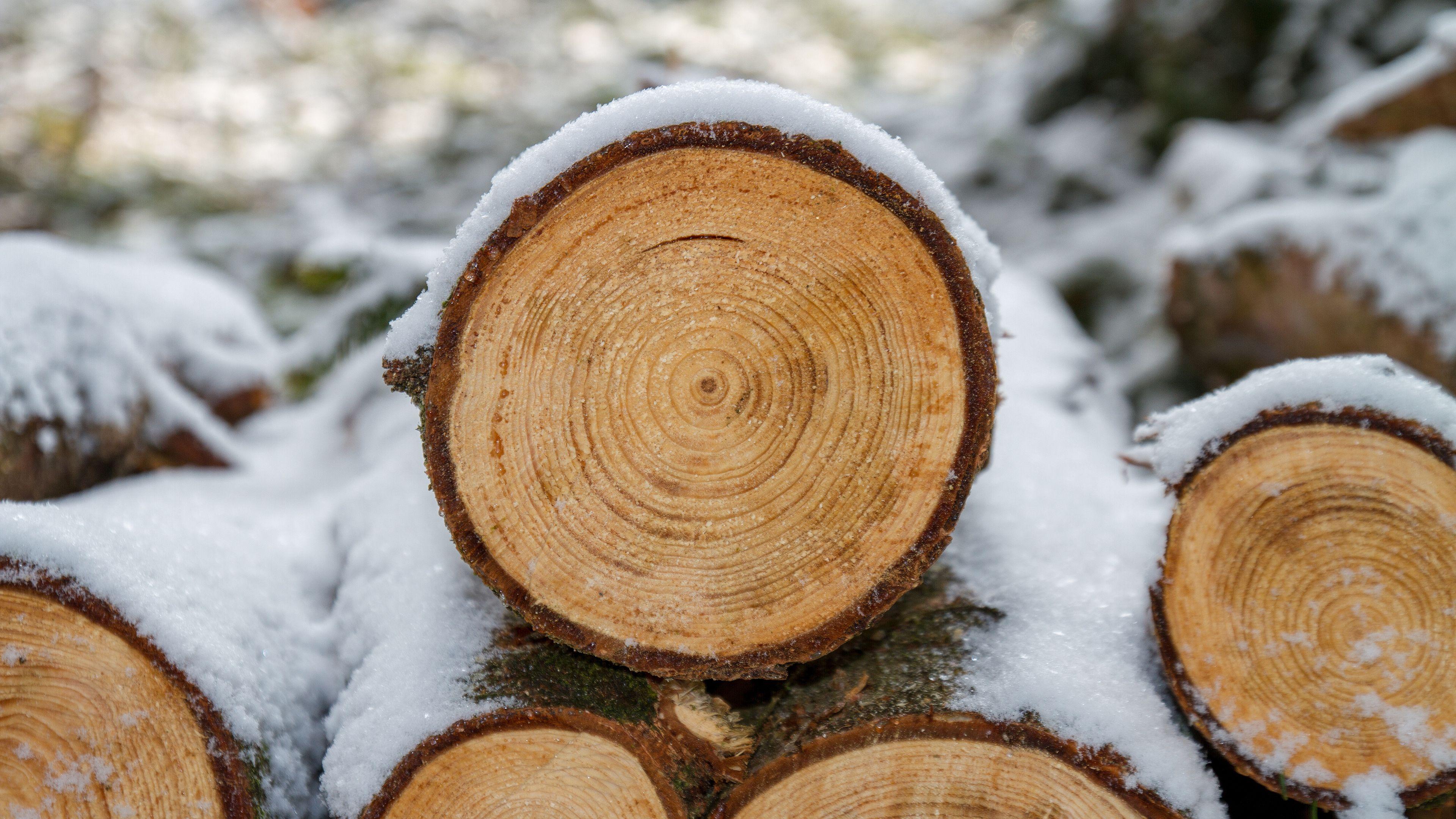 3840x2160 Winter Wood Chromebook Wallpaper