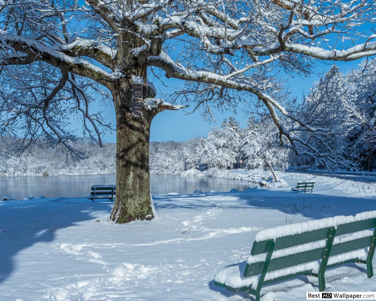 Winter Woods Wallpapers - Top Free Winter Woods Backgrounds ...