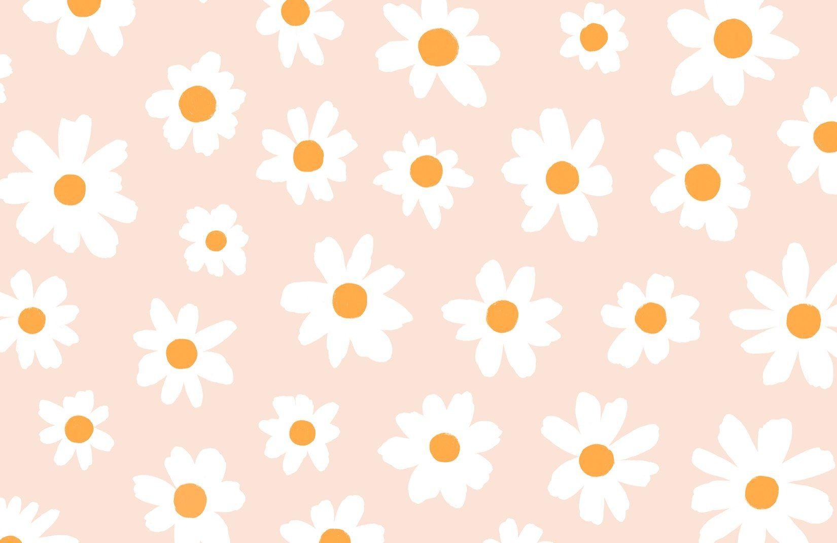 Daisy Aesthetic Computer Wallpapers Top Free Daisy Aesthetic Computer 