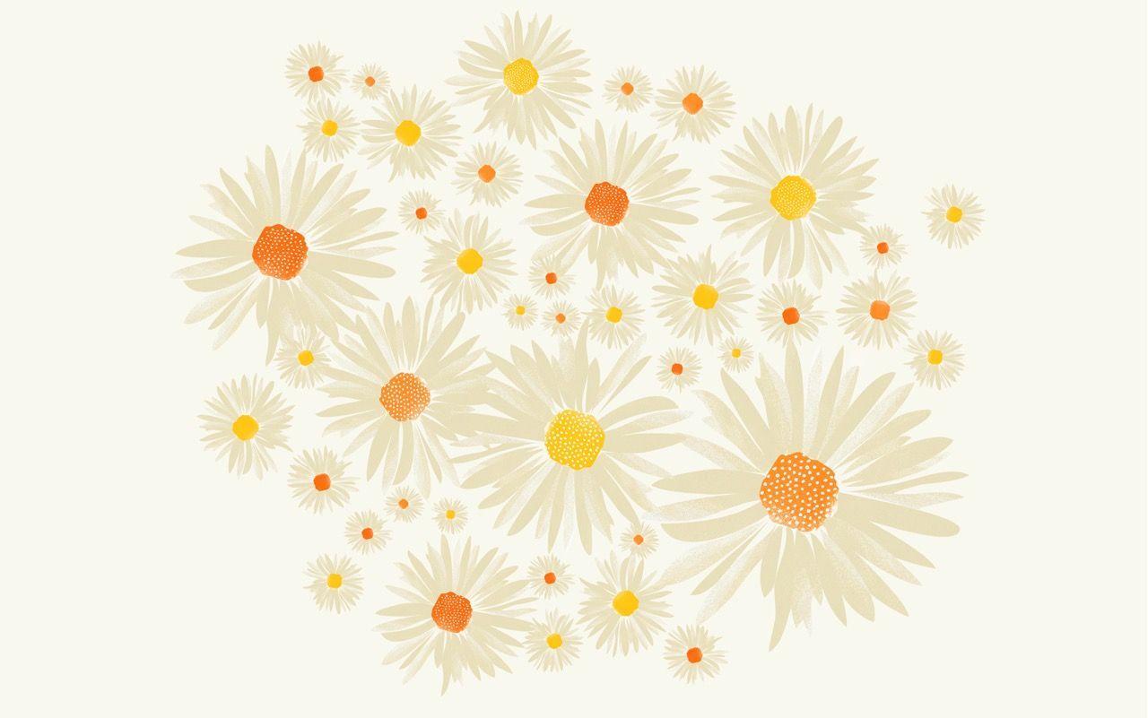 1280x801 DRESS YOUR TECH / 230. Daisy wallpaper, Macbook wallpaper, Cute laptop wallpaper