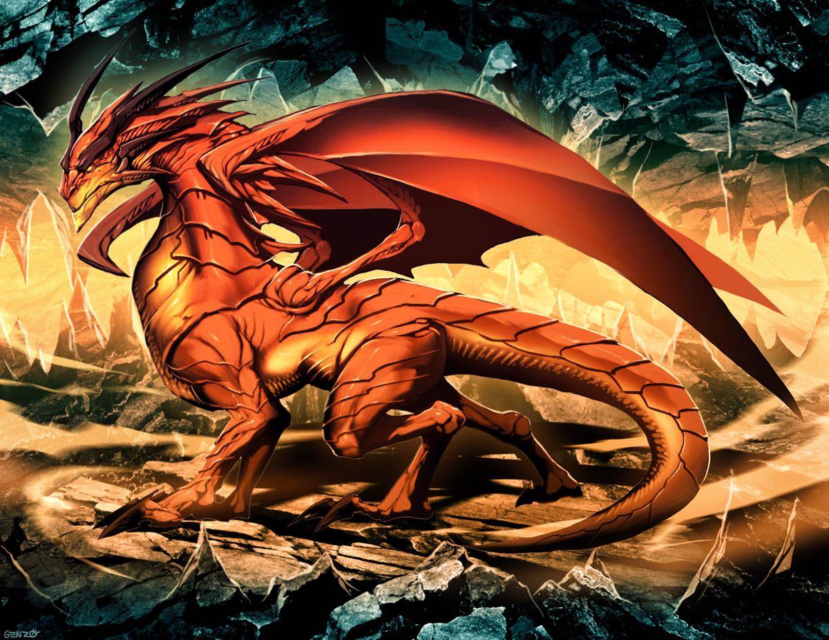 1200x927 Funny Wallpaper: Dragon wallpaper, dragon wallpaper, dragons