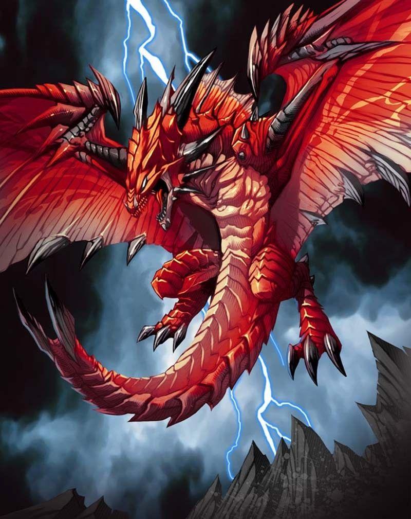 800x1009 This is the most beautiful image of the Asian dragon desktop