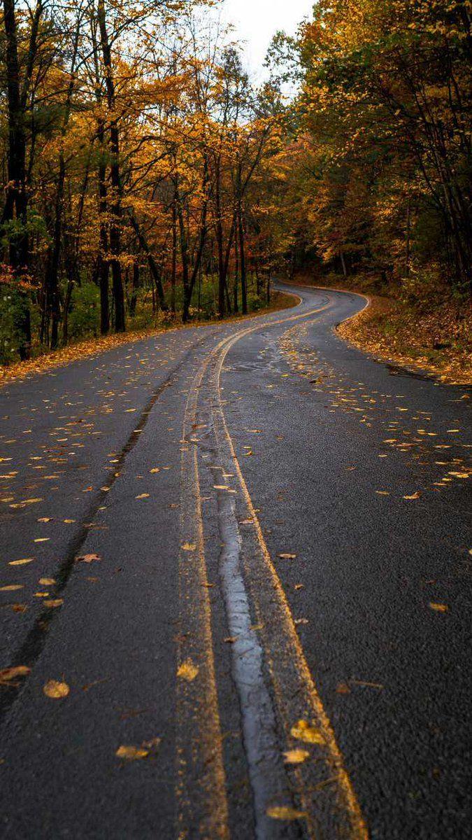 Curve Road Wallpapers - Top Free Curve Road Backgrounds - WallpaperAccess