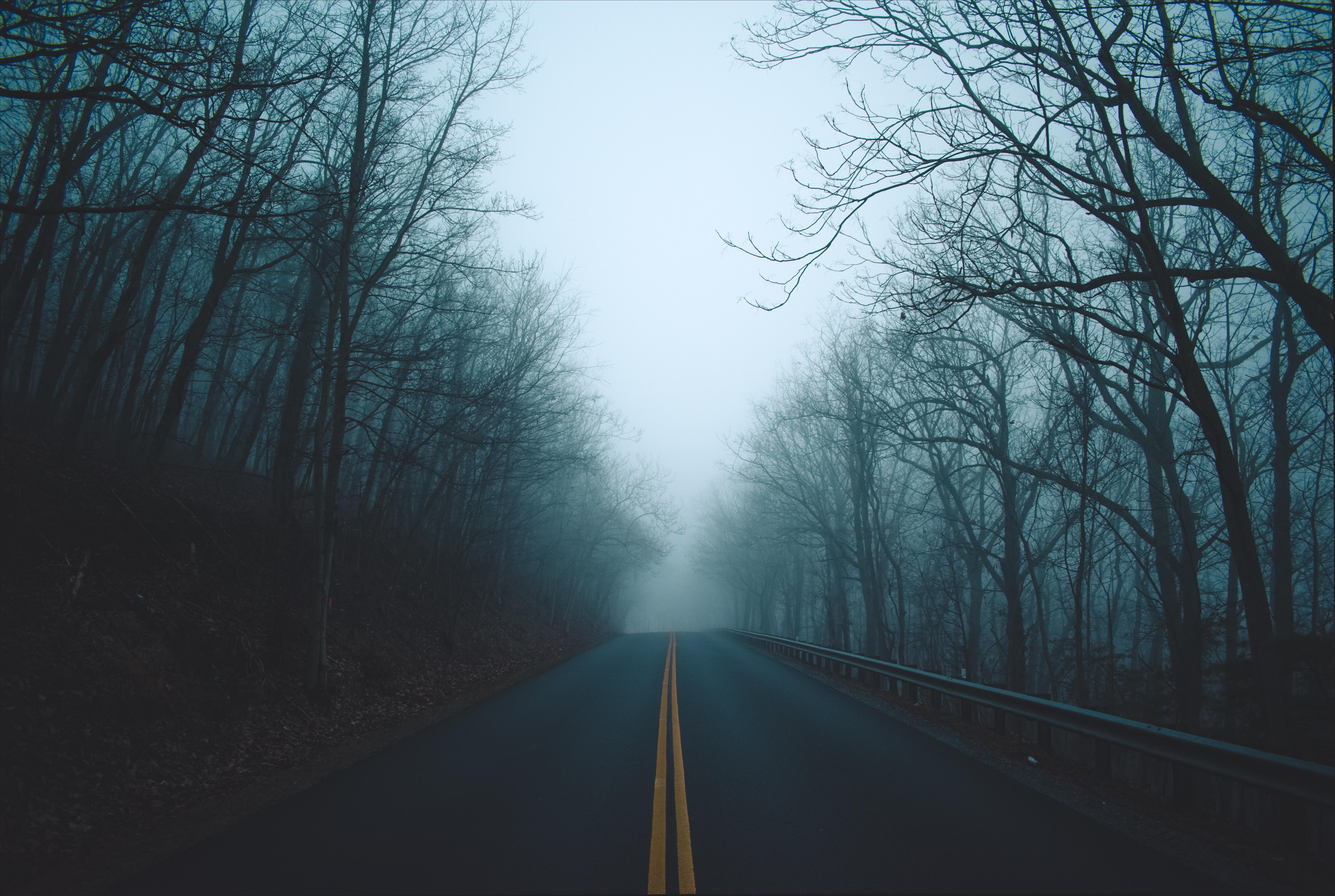 6052x4062 Foggy road [OC] [6000 x 4000] : r