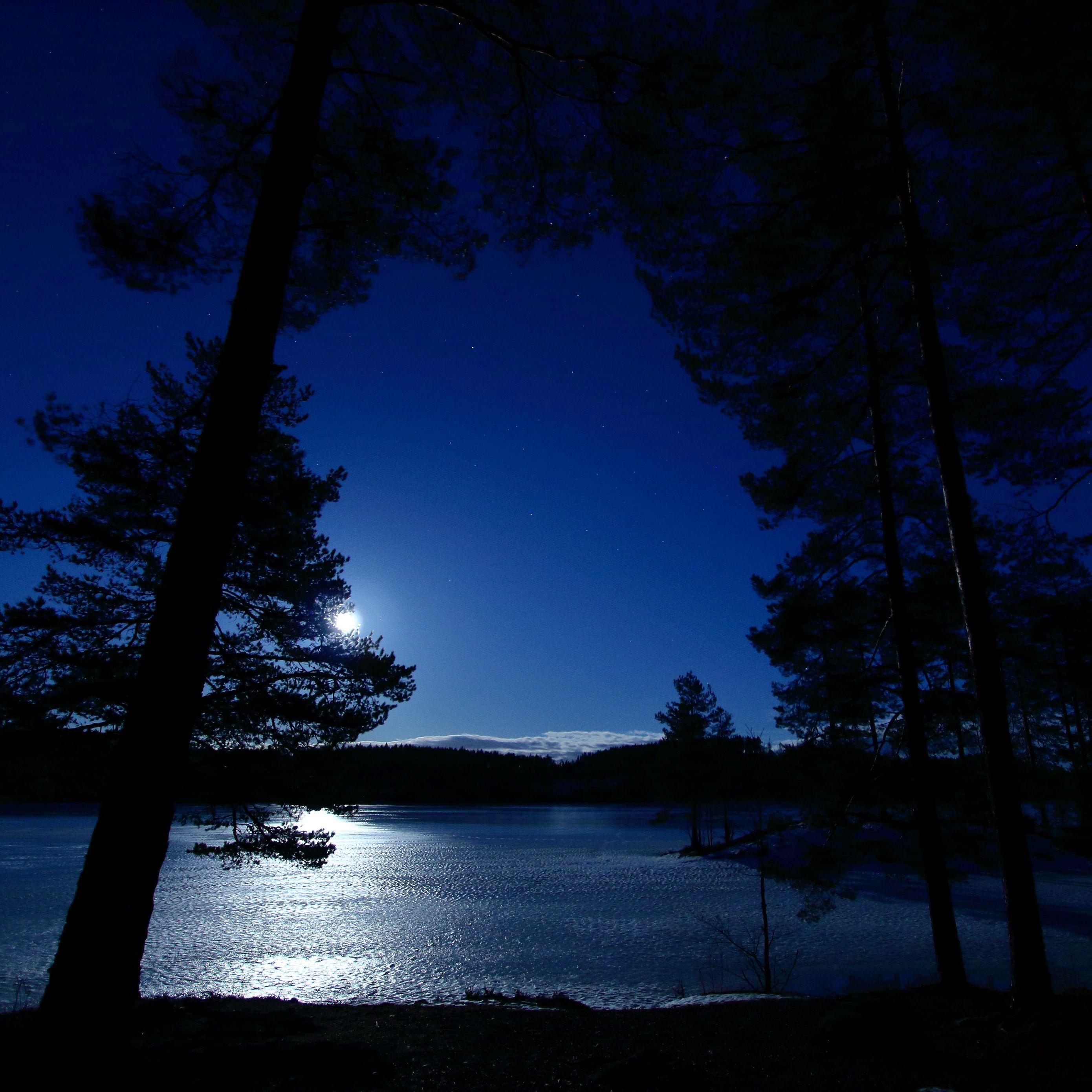 2780x2780 Download wallpaper 2780x2780 trees, night, lake, distance, sky, norway ipad air, ipad air ipad ipad ipad mini ipad mini ipad mini ipad pro 9.7 for parallax HD background