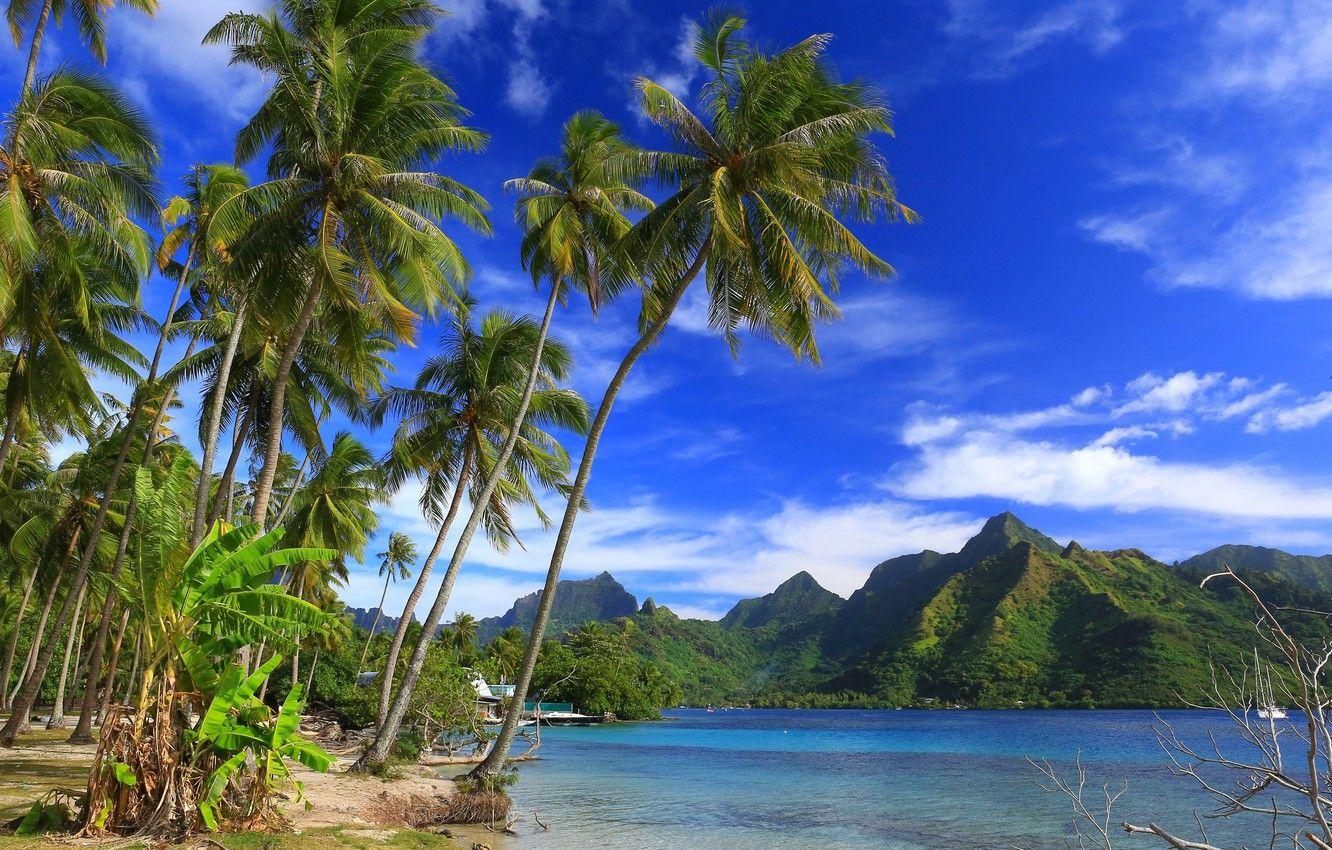 Moorea Wallpapers - Top Free Moorea Backgrounds - WallpaperAccess