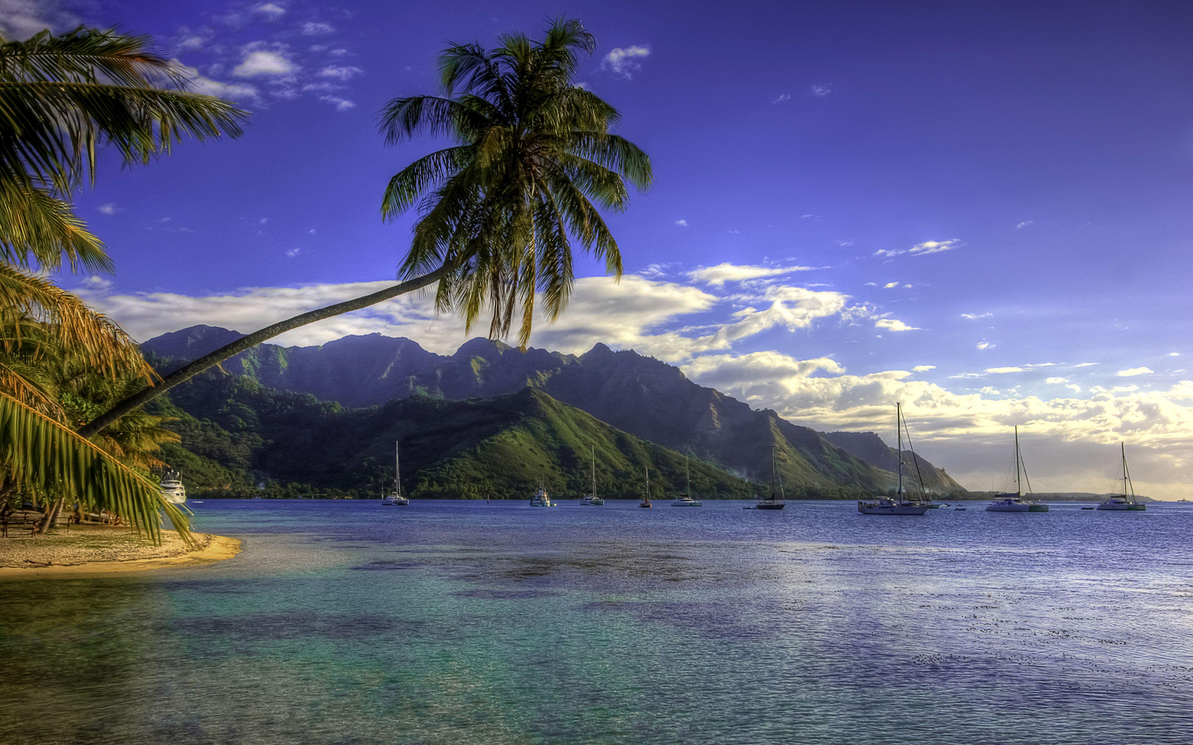 Moorea Wallpapers - Top Free Moorea Backgrounds - WallpaperAccess