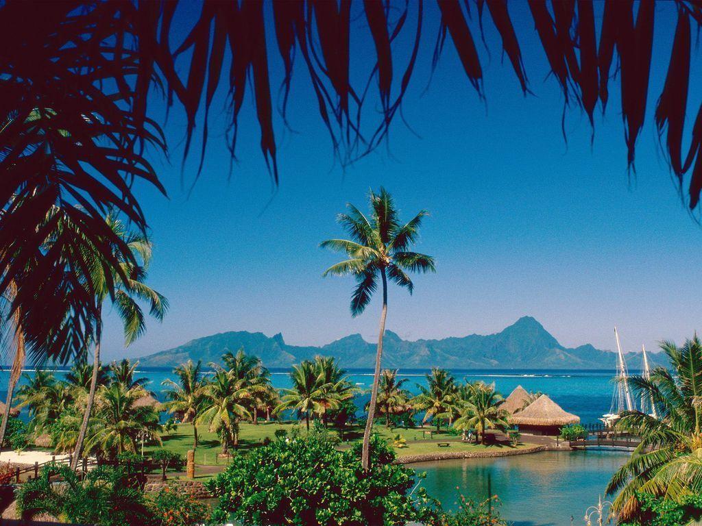 1024x768 Wallpaper: View on Moorea Island from Tahiti, French Polynesia. Moorea island, Tropical island beach, Tahiti