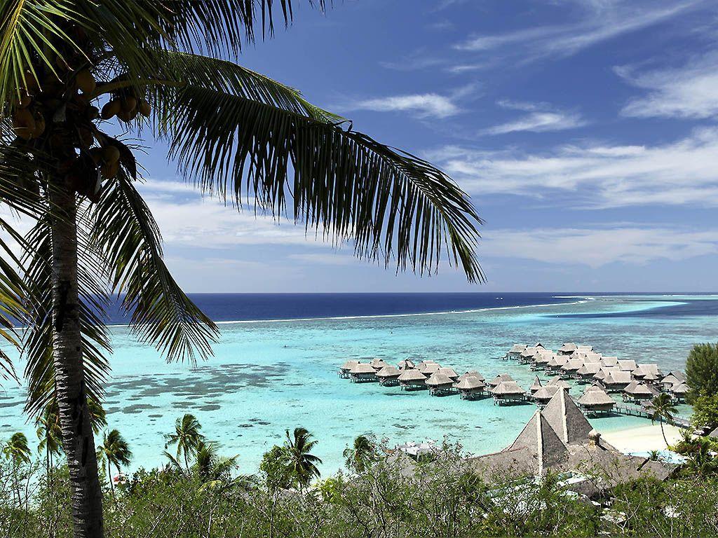 1024x768 Free download Sofitel Moorea la Ora Beach Resort Hotel 5 Star AccorHotels [1024x768] for your Desktop, Mobile & Tablet. Explore Moorea Beach Wallpaper. Moorea Beach Wallpaper, Beach Wallpaper, Beach Background