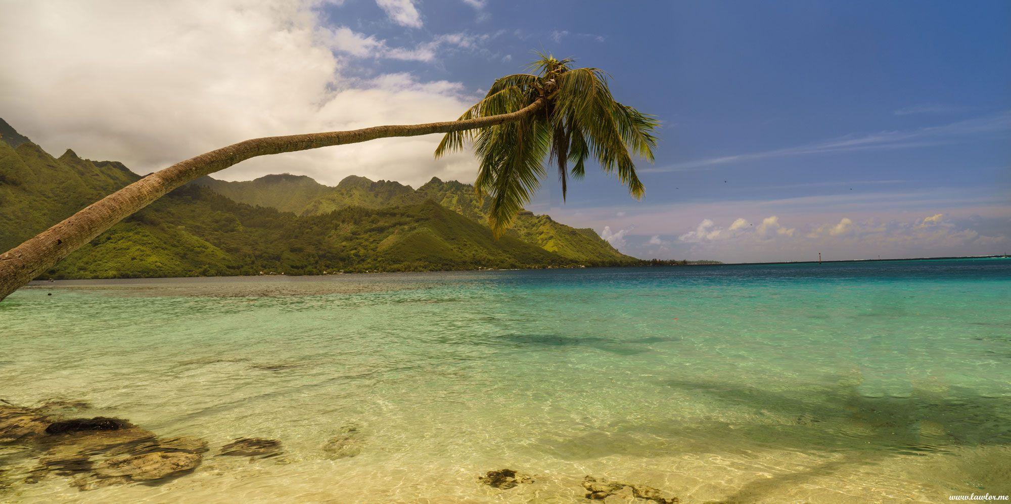 2000x997 Opunohu Bay, Moorea