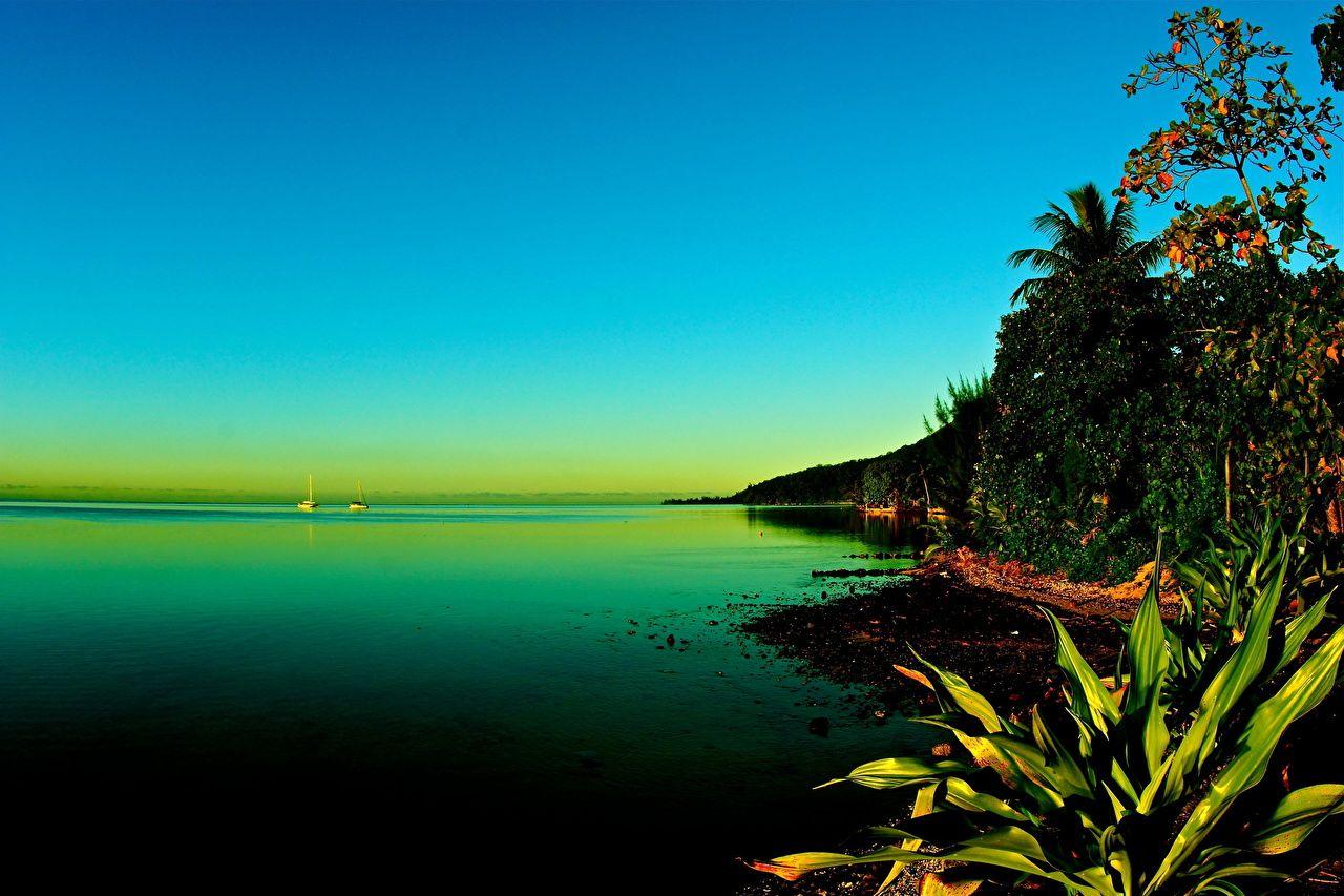 1280x853 image French Polynesia Moorea Sea Nature Tropics