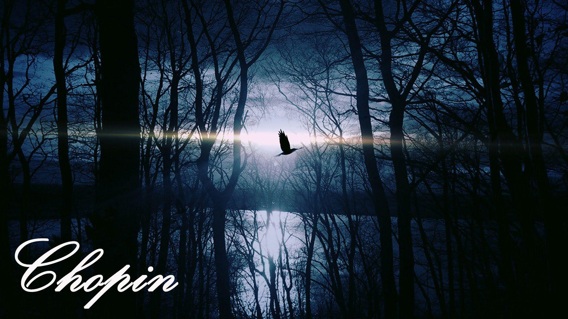 1920x1080 Chopin Op. 9 No. 2 (60 MINUTES) Music Piano Studying Concentration Reading. Good night friends, Night photography, Nature birds