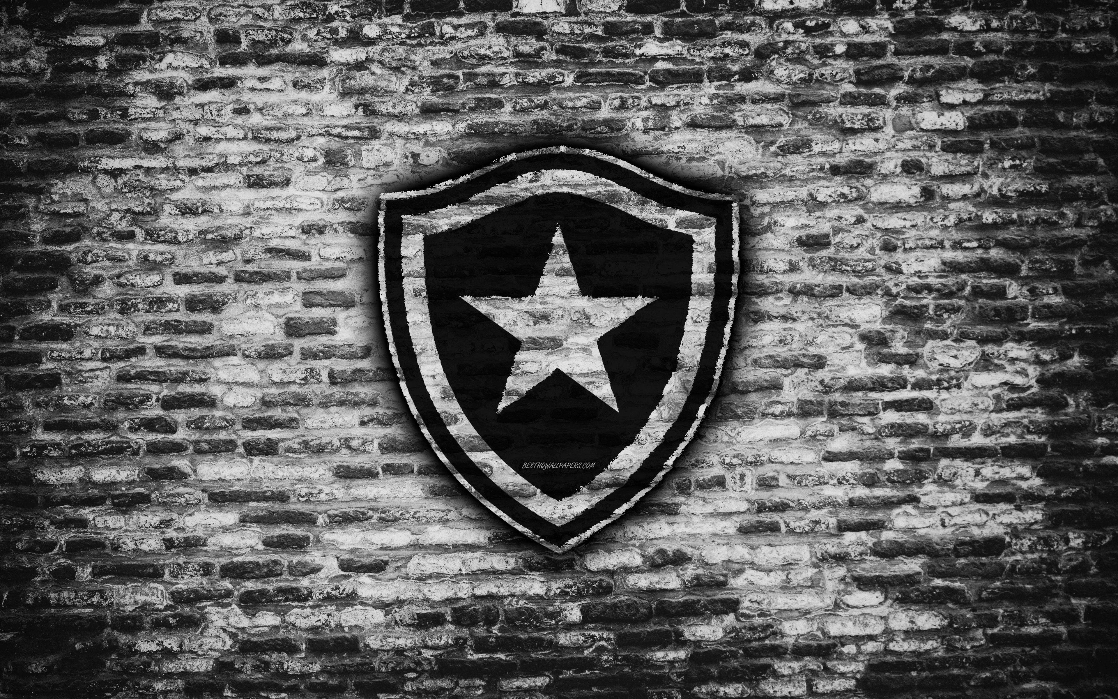 Botafogo Wallpapers - Top Free Botafogo Backgrounds - WallpaperAccess