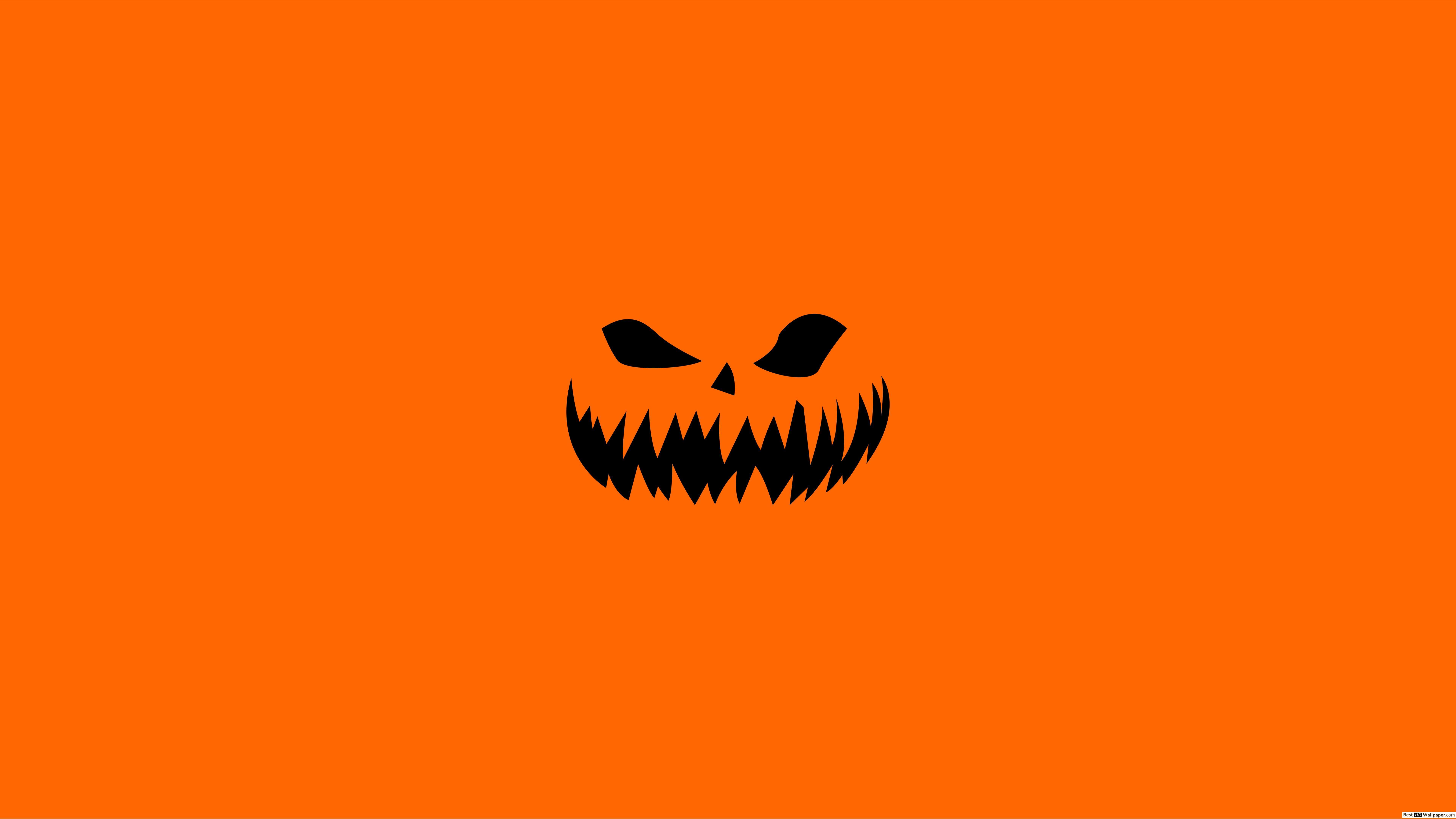 Download Spooky Season Pumpkin Skeleton Wallpaper  Wallpaperscom