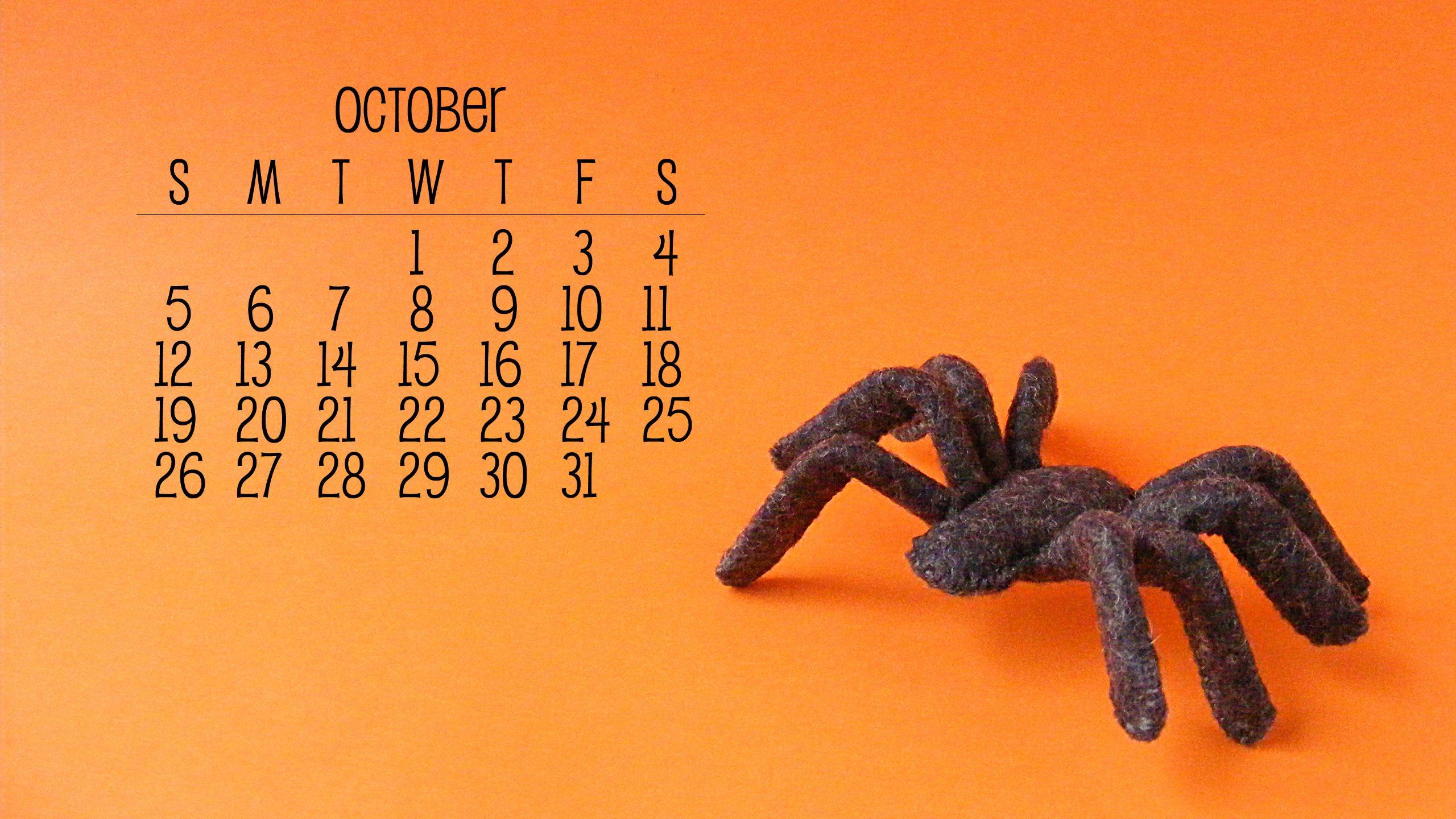 2560x1440 Free Wallpaper for October Spooky Felt Spider. Shiny Happy World