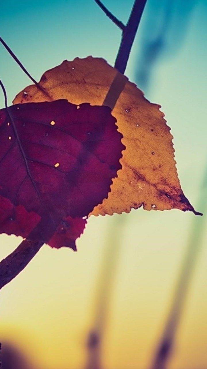 720x1280 Samsung Galaxy J2 2016 Wallpaper HD