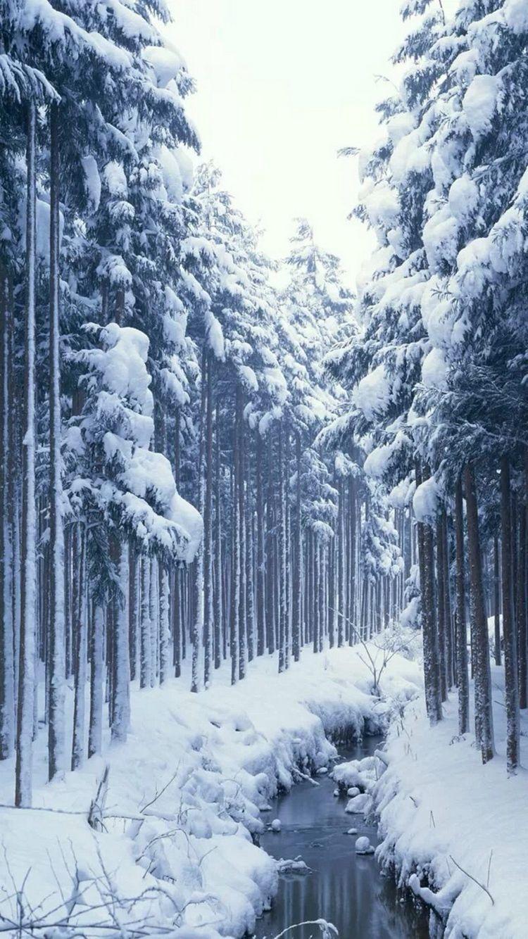 750x1334 Today is a special day, because we had the first snow in this season. Therefore it is time to change our iPhone wallpa. Winter scenery, Winter scenes, Snow scenes