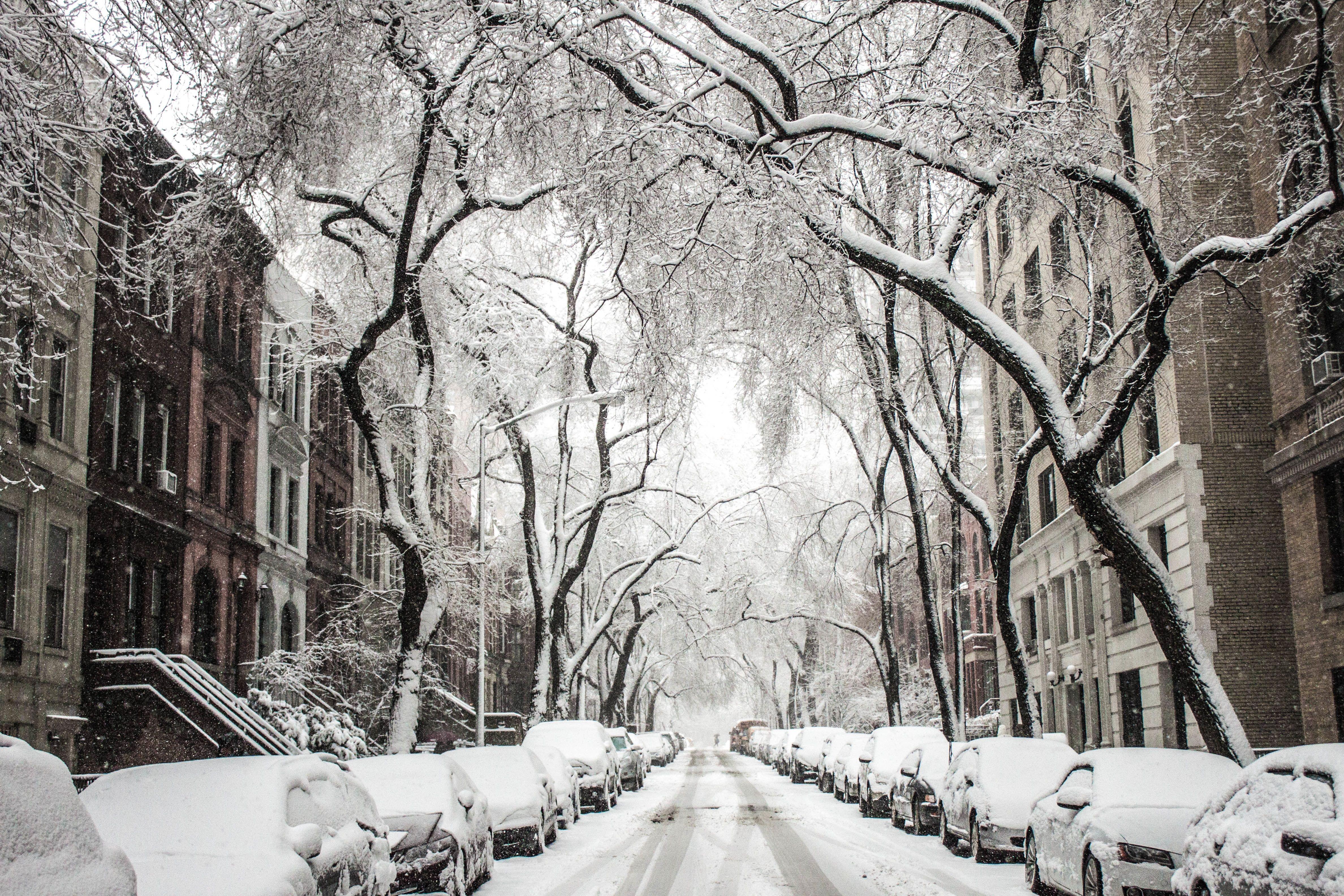 4752x3168 Trees And Cars Covered By Snow · Free
