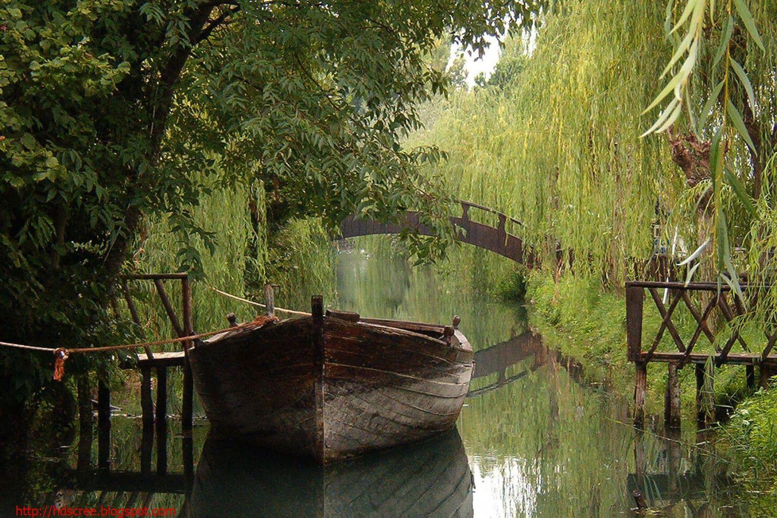 Weeping Willow Wallpapers - Top Free Weeping Willow Backgrounds