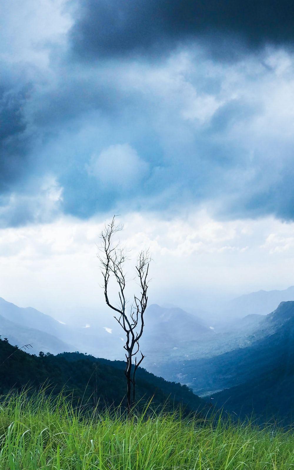 1000x1599 Mountain Valley Picture. Download Free Image
