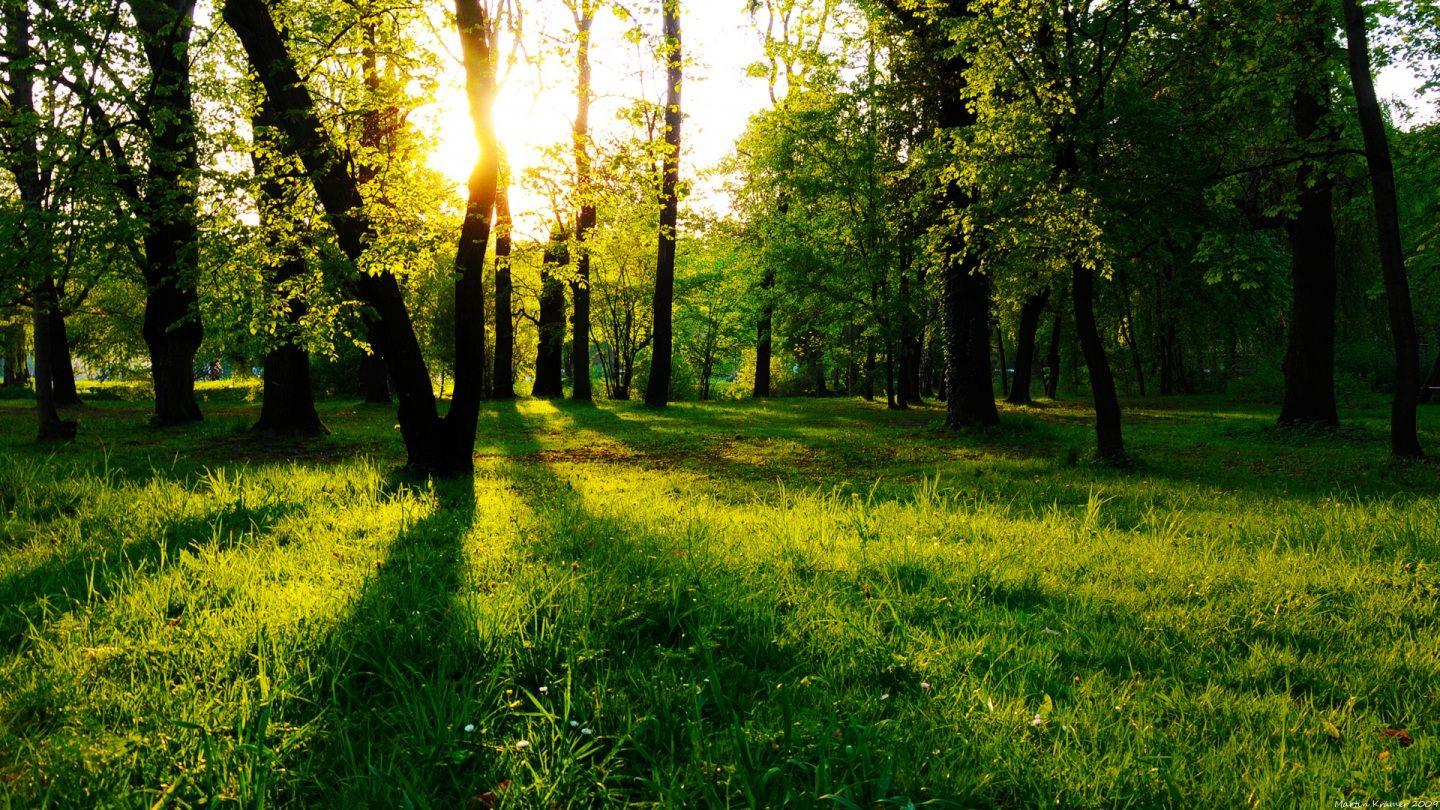 1440x810 Index Of Files Picture Wallpaper1920x1080