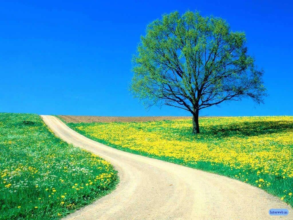 1024x768 Index Of Files Picture Wallpaper