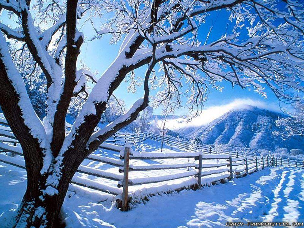 1024x768 Winter Countryside wallpaper 2