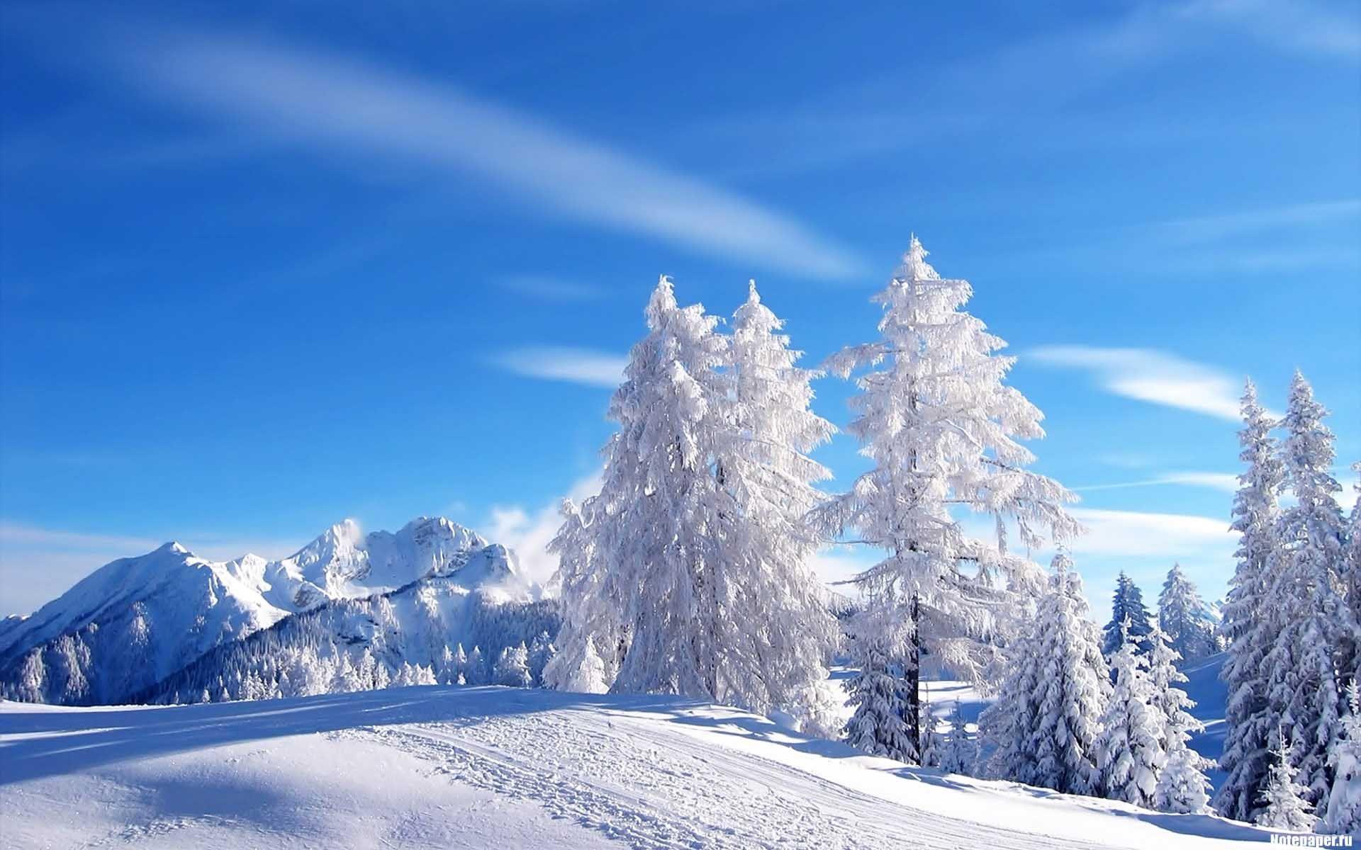 1920x1200 snow scenes photography. Snow Scenes Desktop Wallpaper in HD. Winter landscape, Winter nature, Winter wallpaper