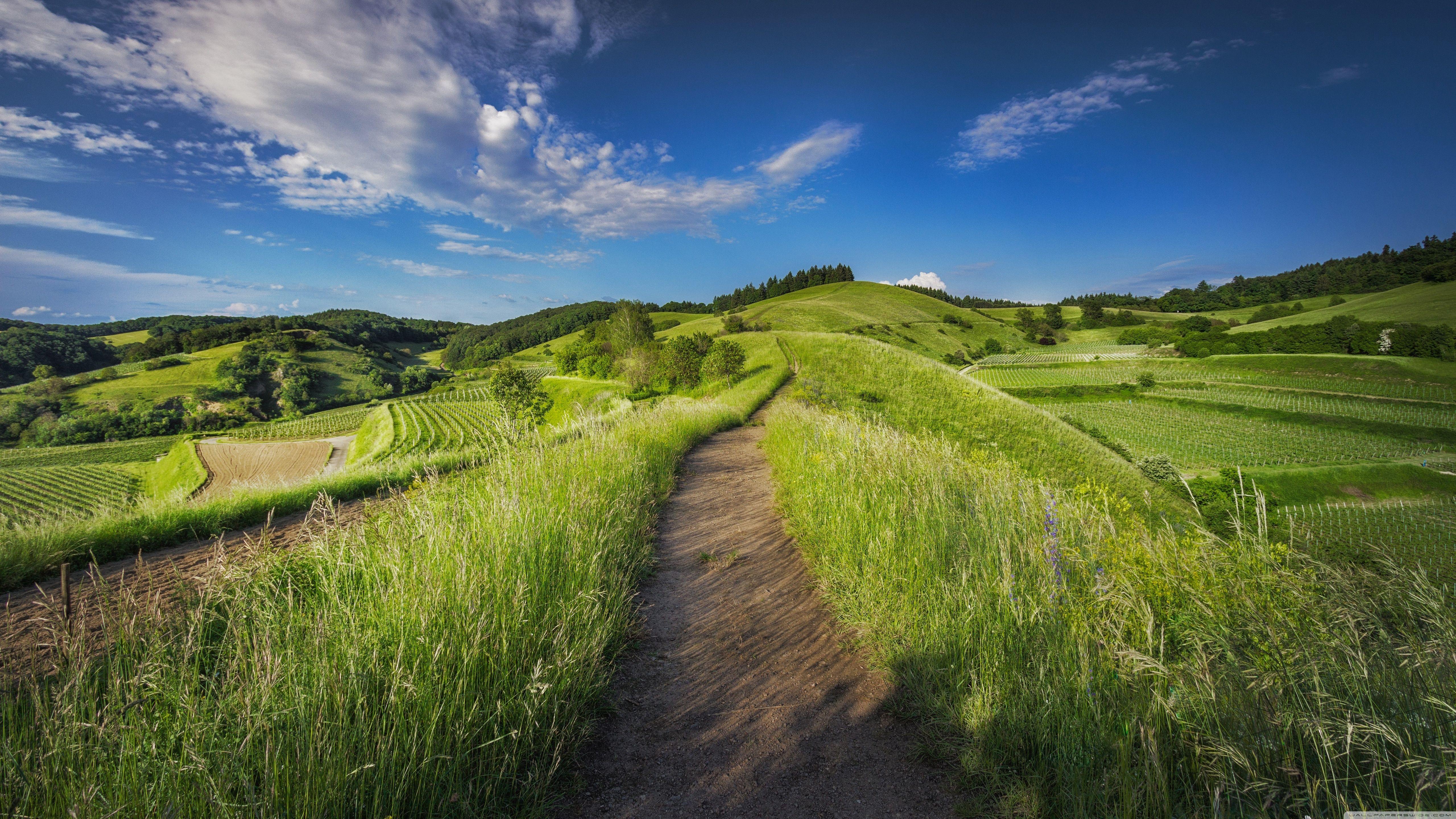 5120x2880 Countryside Dirt Road Ultra HD Desktop Background Wallpaper for : Widescreen & UltraWide Desktop & Laptop : Multi Display, Dual & Triple Monitor : Tablet