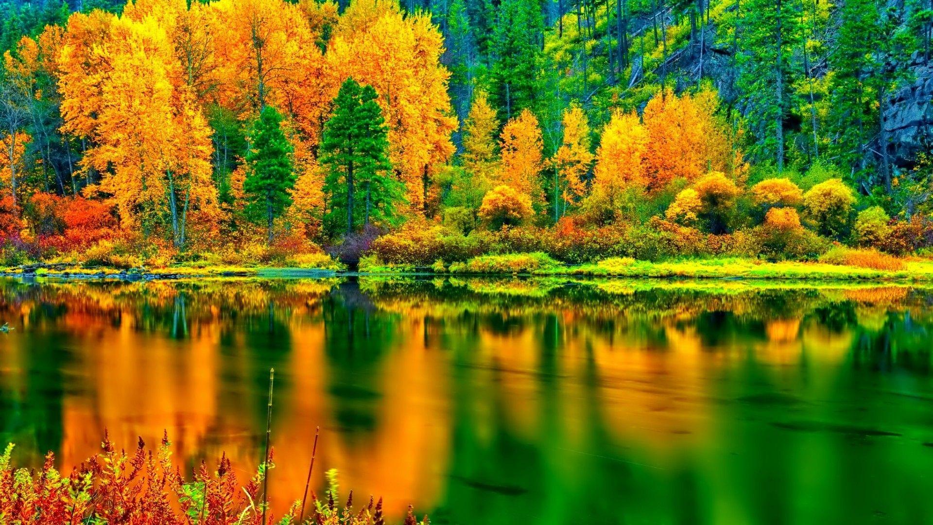 1920x1080 Hd Autumn Landscape Wallpaper Wallpaper Autumn Landscape Wallpaper & Background Download