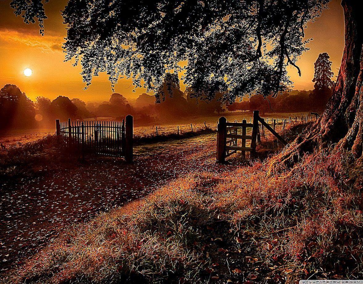 1177x921 Countryside Road Gate Wallpaper. Best Wallpaper HD