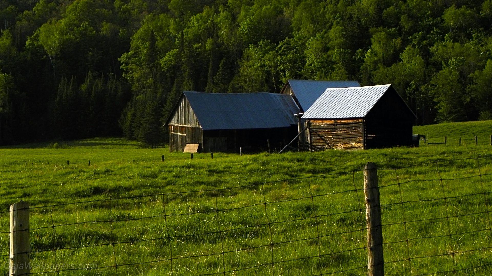 1920x1080 Old barn in the countryside wallpaper 1920x1080 Desktop Wallpaper