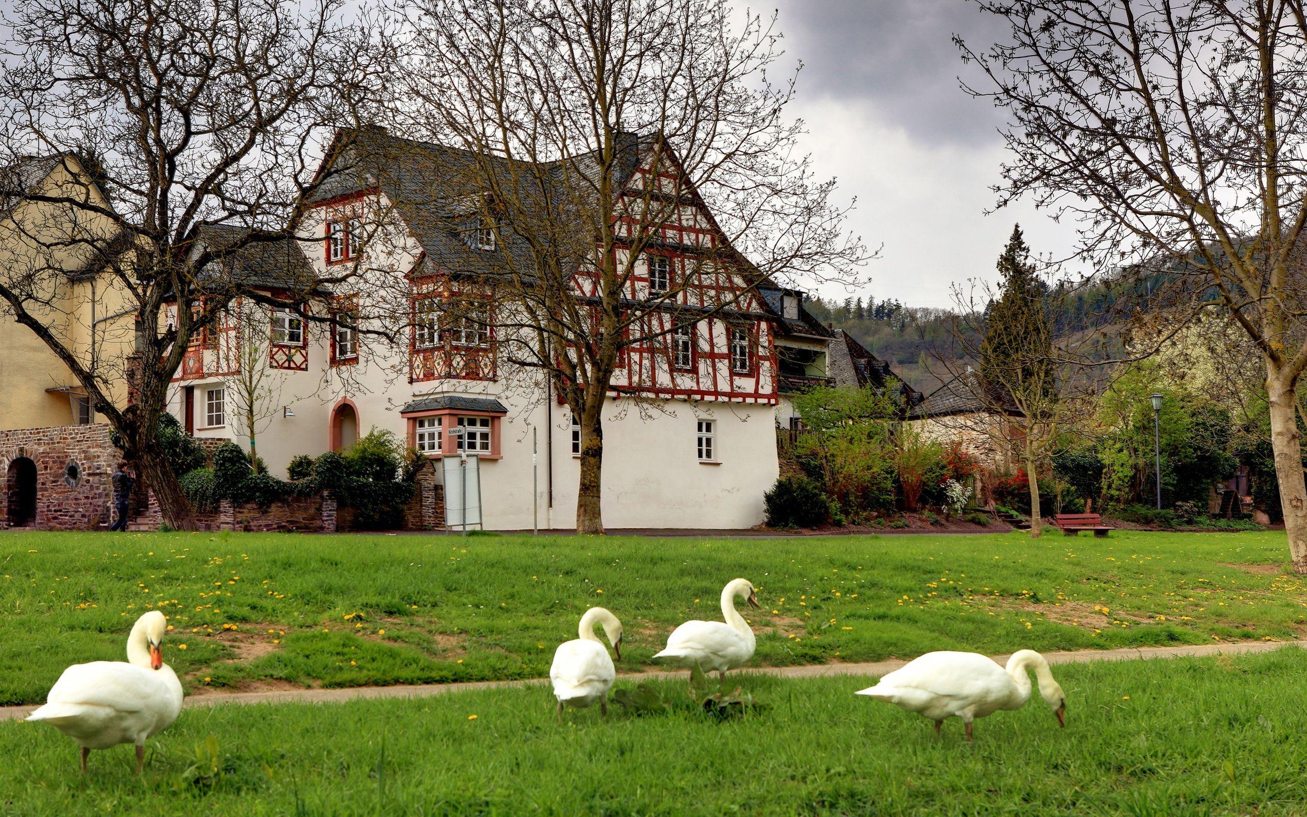 2560x1600 Wallpaper Germany Countryside 2560x1600 HD Picture, Image