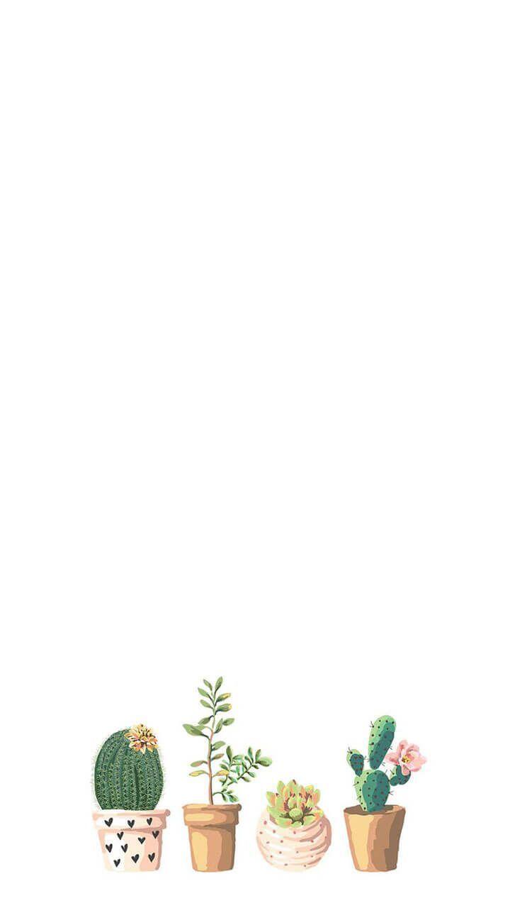 720x1280 Potted Cactus Art Succulent Illustration Succulent Print. Etsy. Succulents wallpaper, Floral wallpaper, Wallpaper space