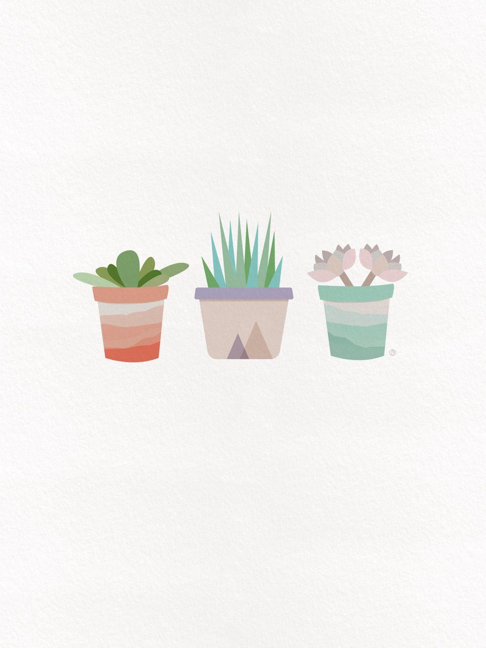 1000x1334 cute succulent wallpaper. iPhone minimalist wallpaper, Succulents wallpaper, iPhone background